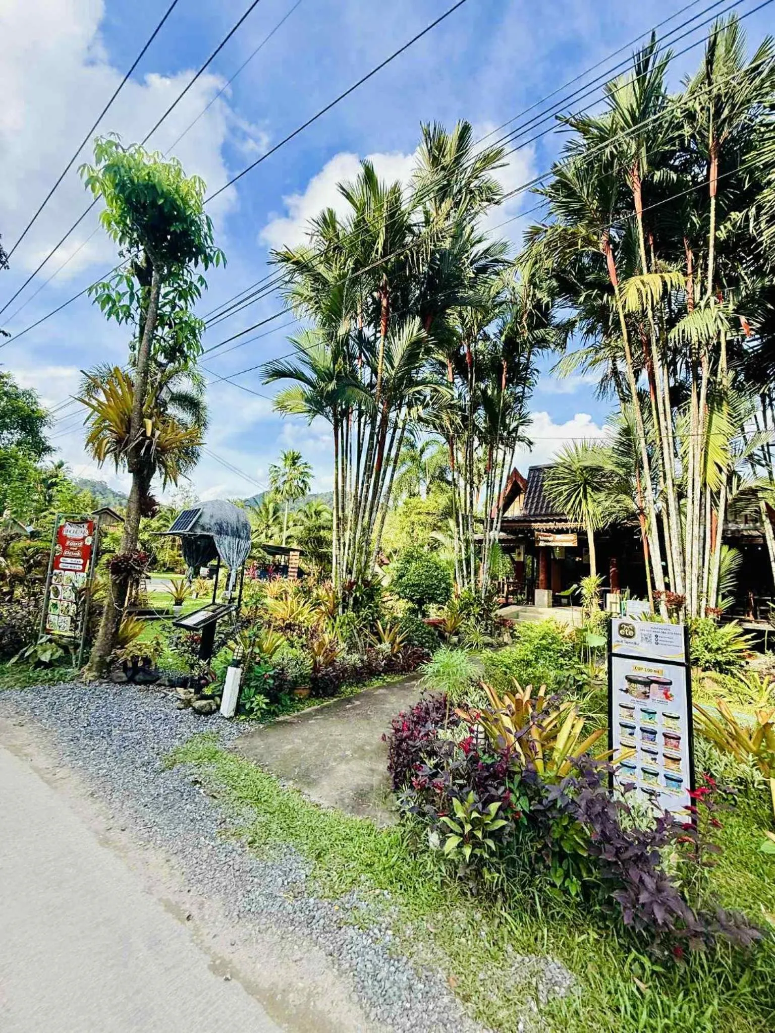 Natural landscape in Khao Sok Nung House