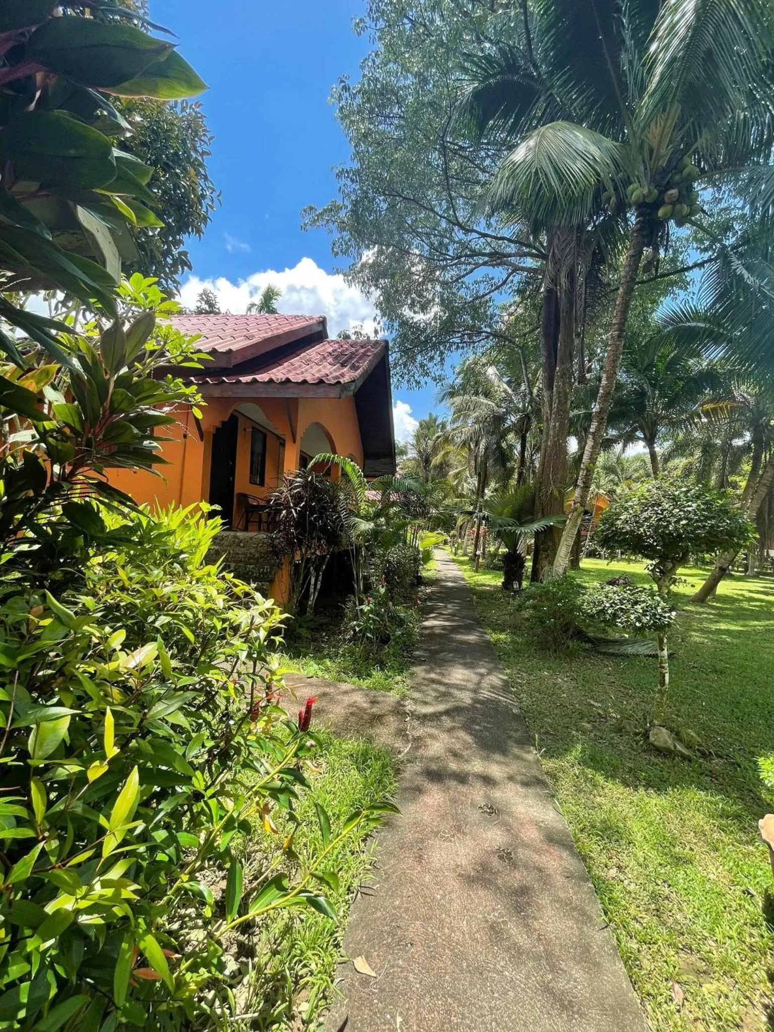 Property building in Khao Sok Nung House