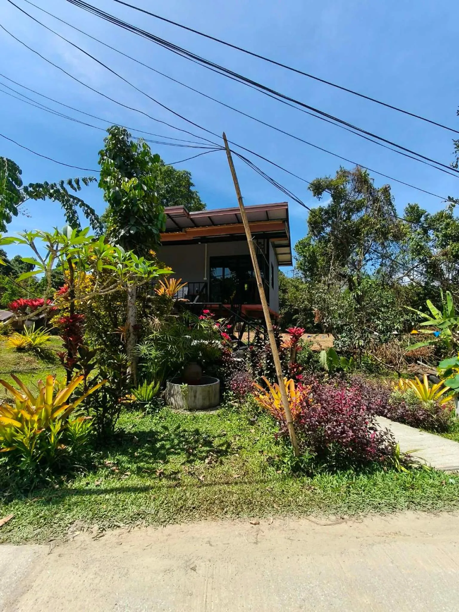 Property building in Khao Sok Nung House