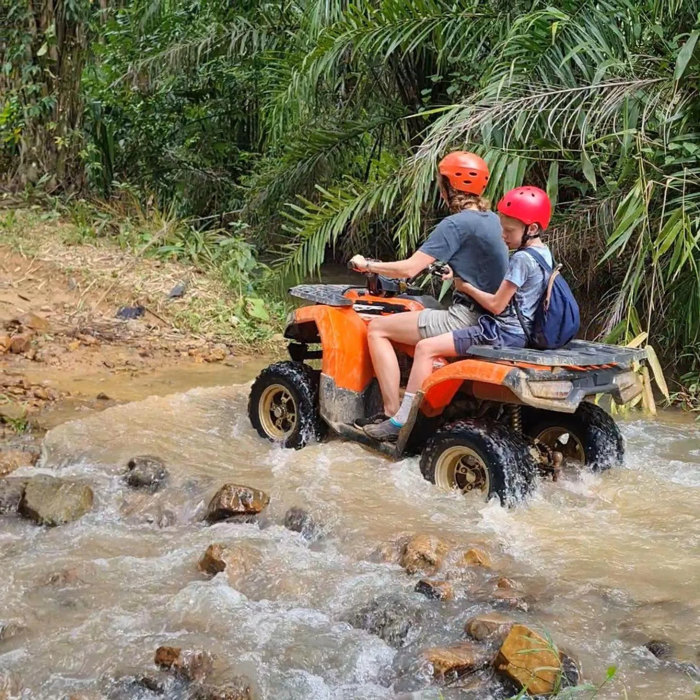 Day in Khao Sok Nung House