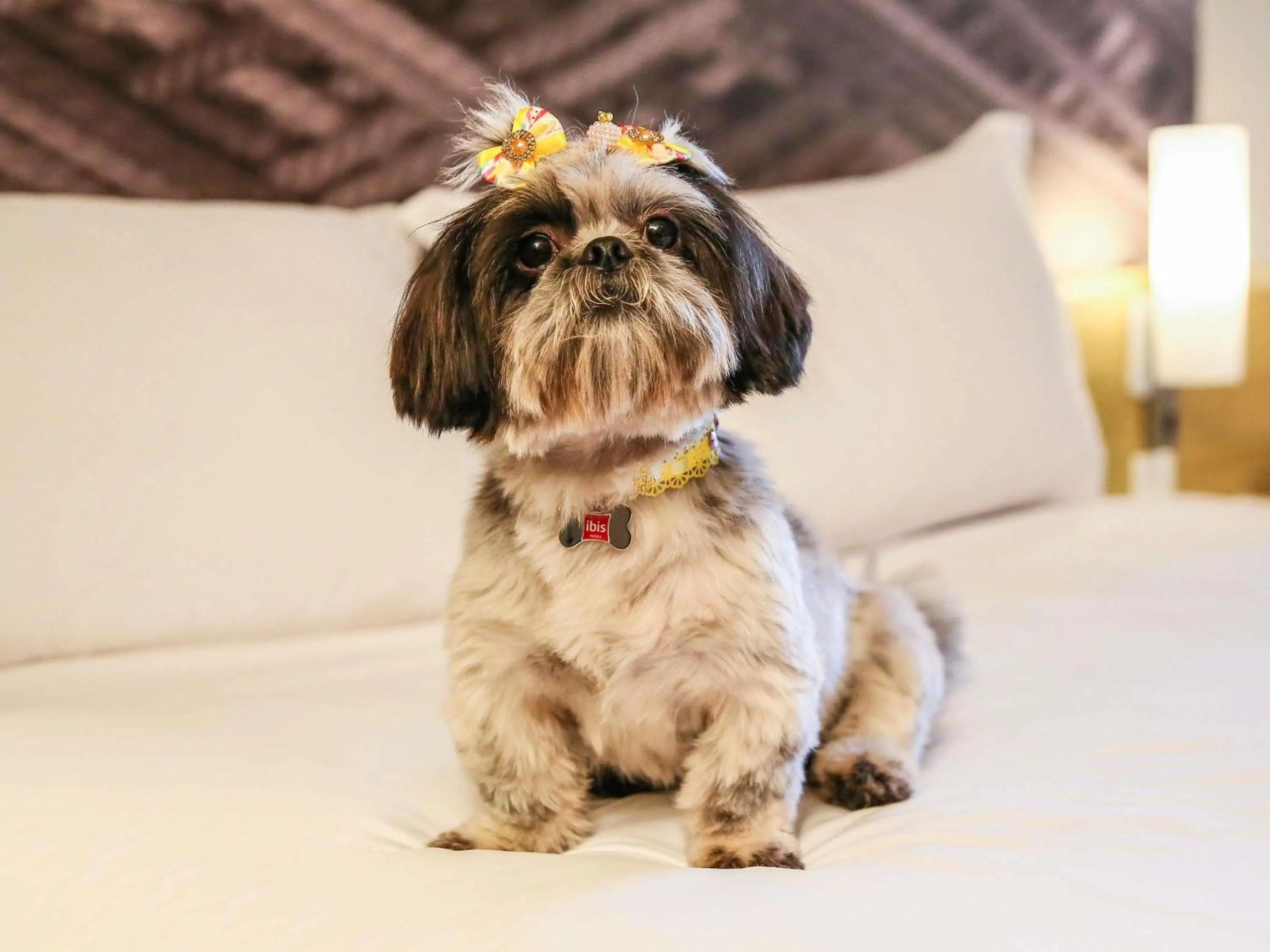 Other in ibis London Greenwich