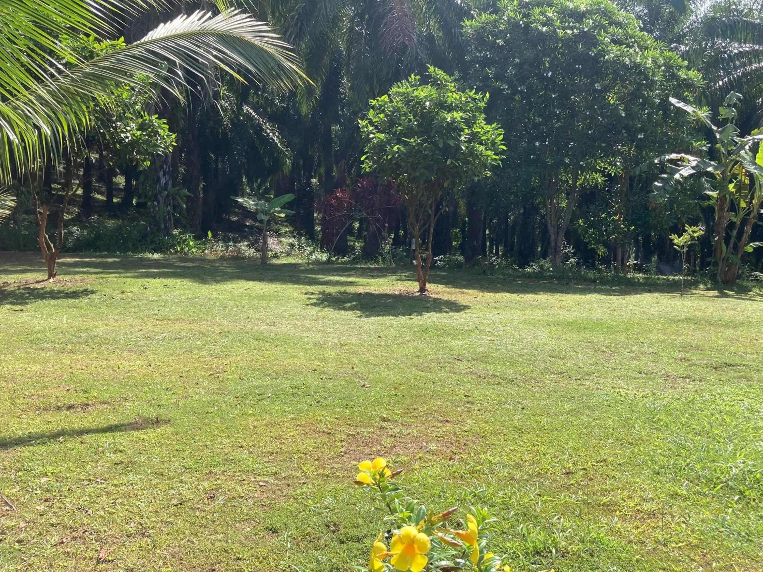 Khao Sok Evergreen House