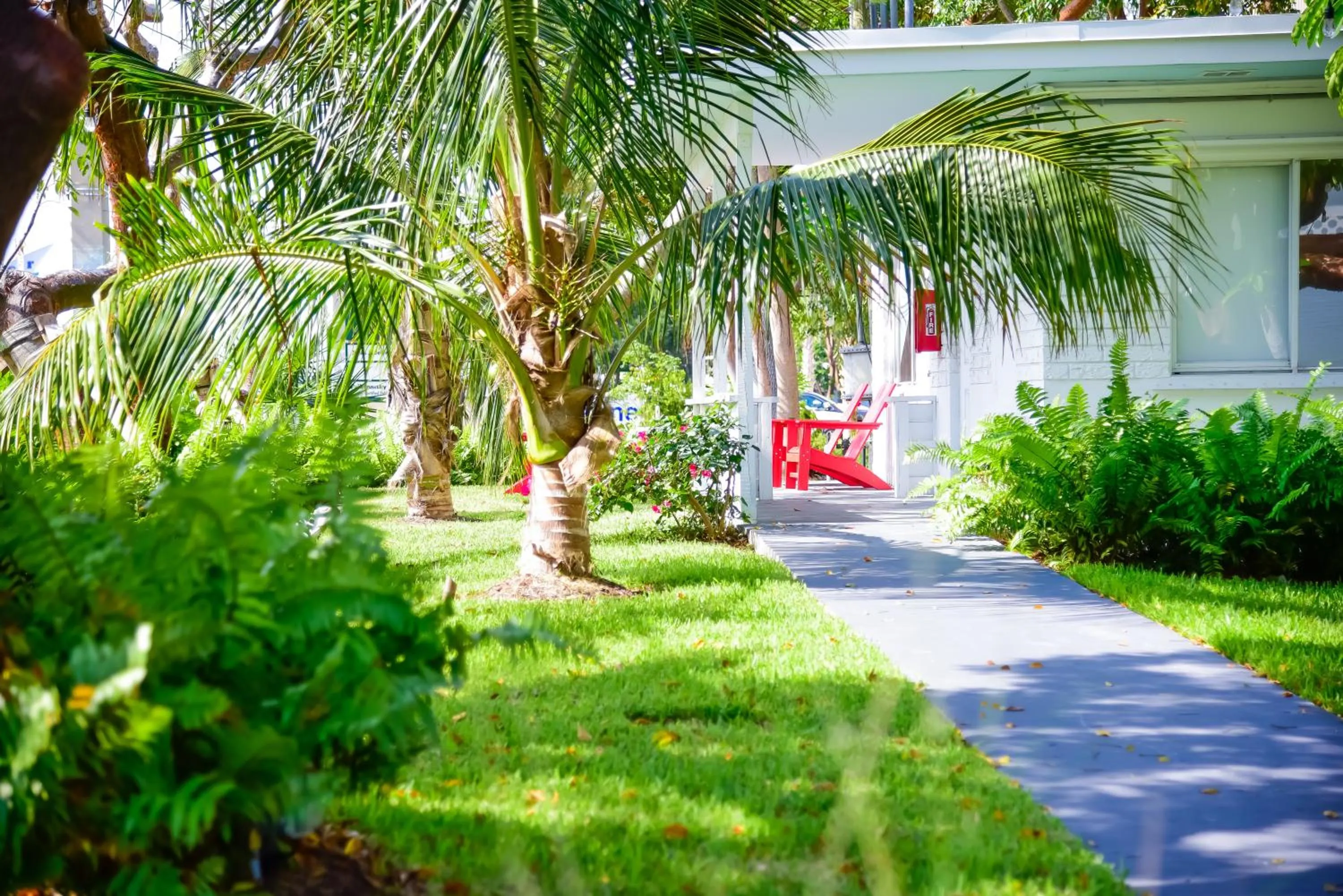 Natural landscape in Sunset Inn