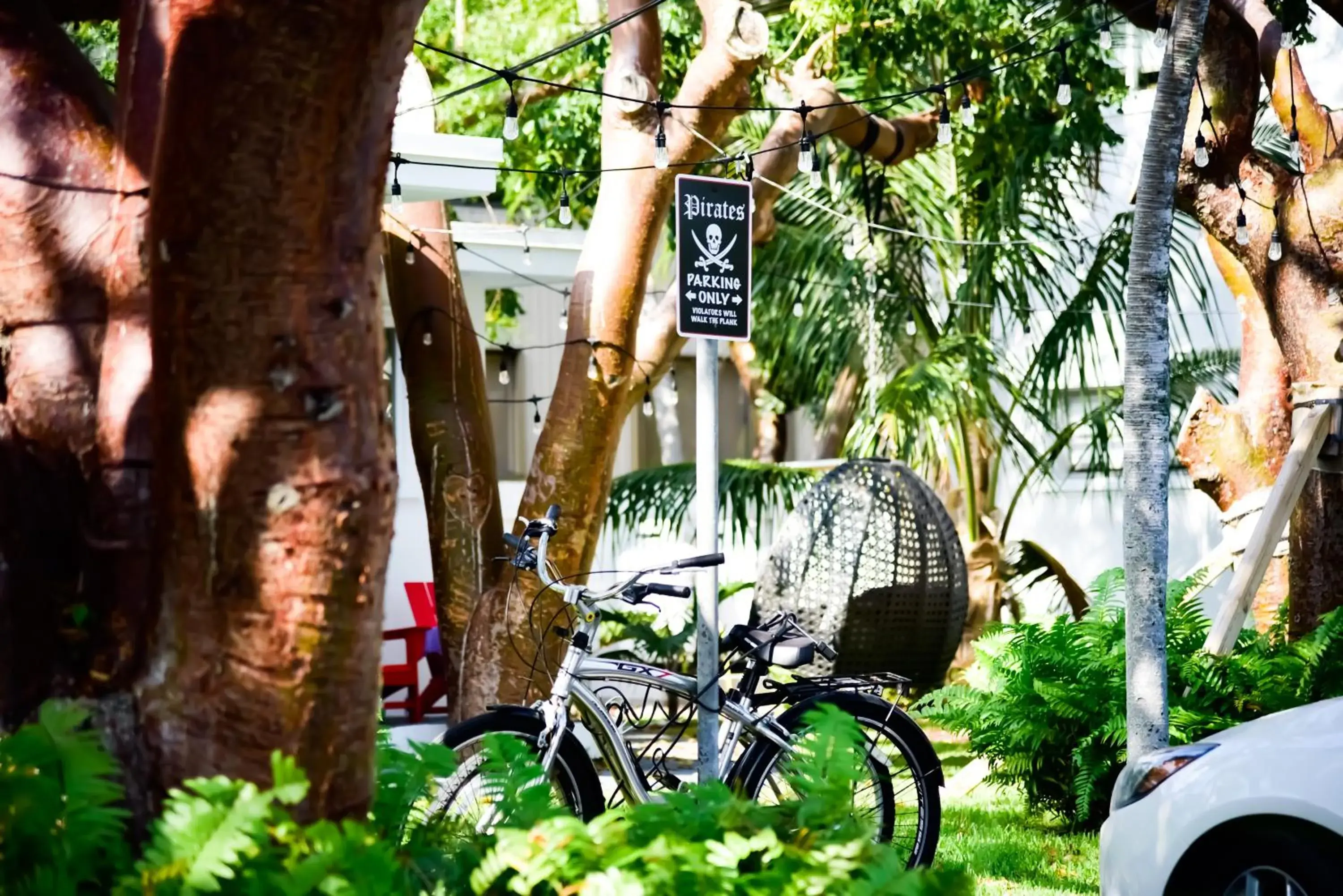 Natural landscape in Sunset Inn Natural landscape in Sunset Inn