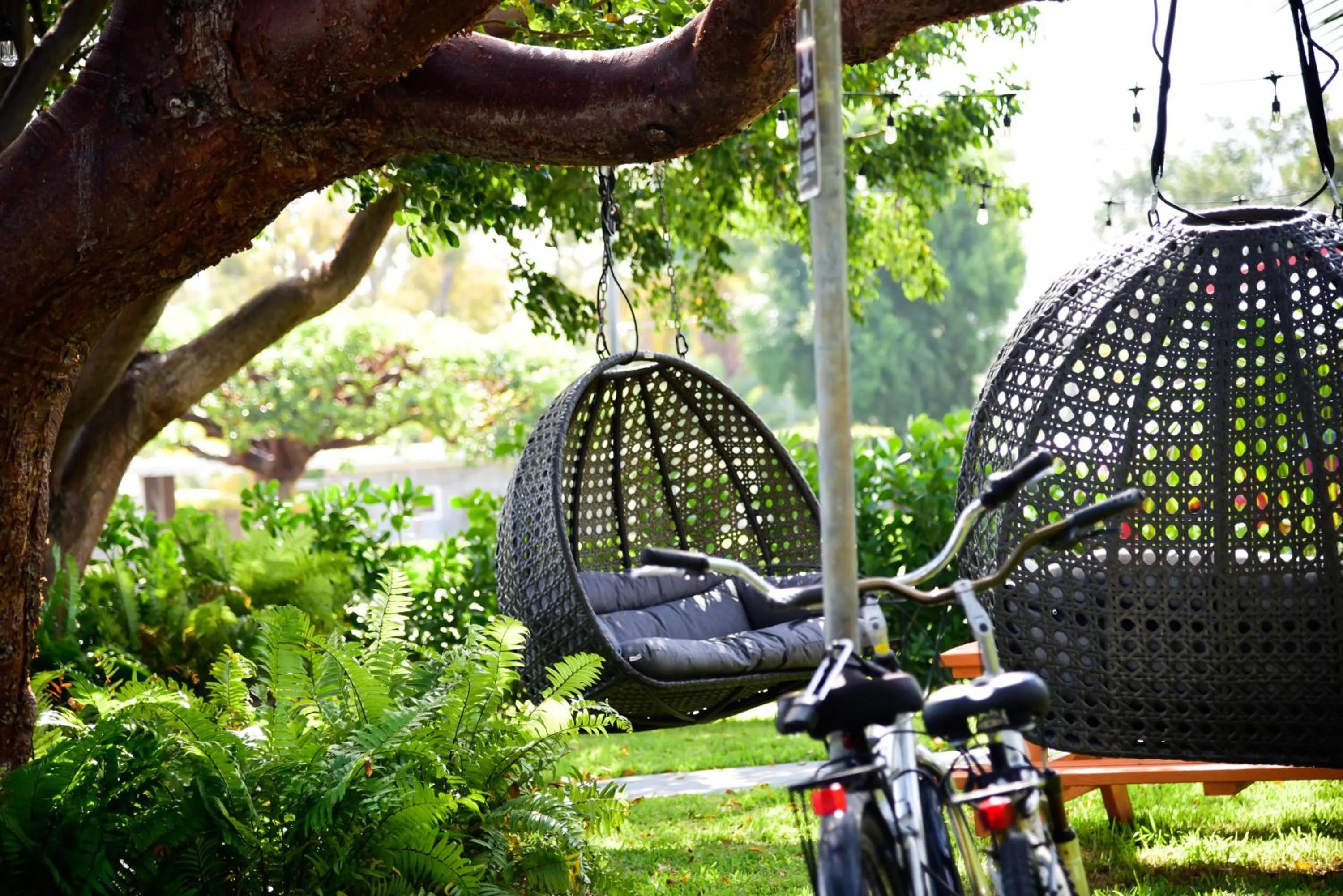 Garden in Sunset Inn