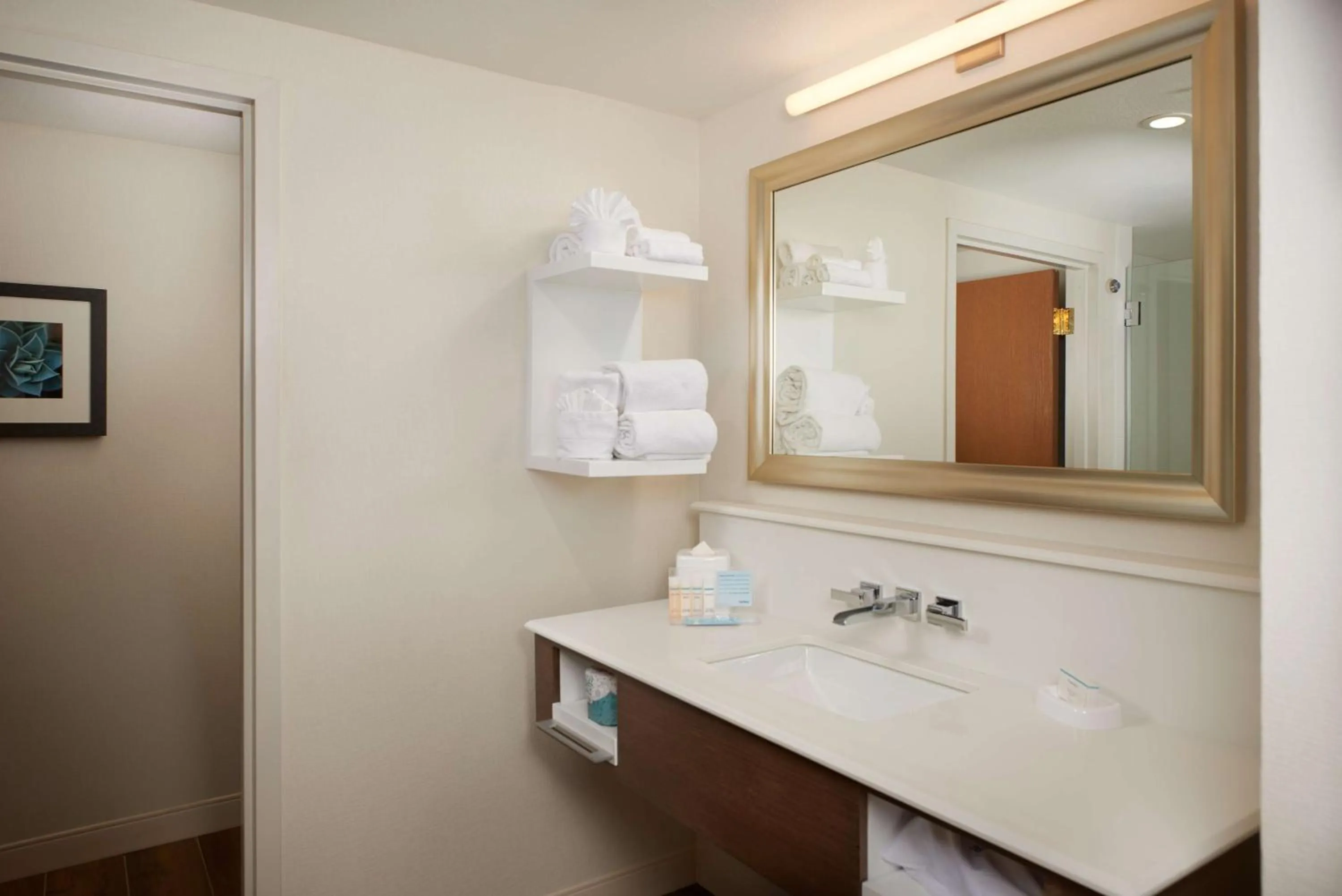 Bathroom in Hampton Inn & Suites Phoenix/Scottsdale