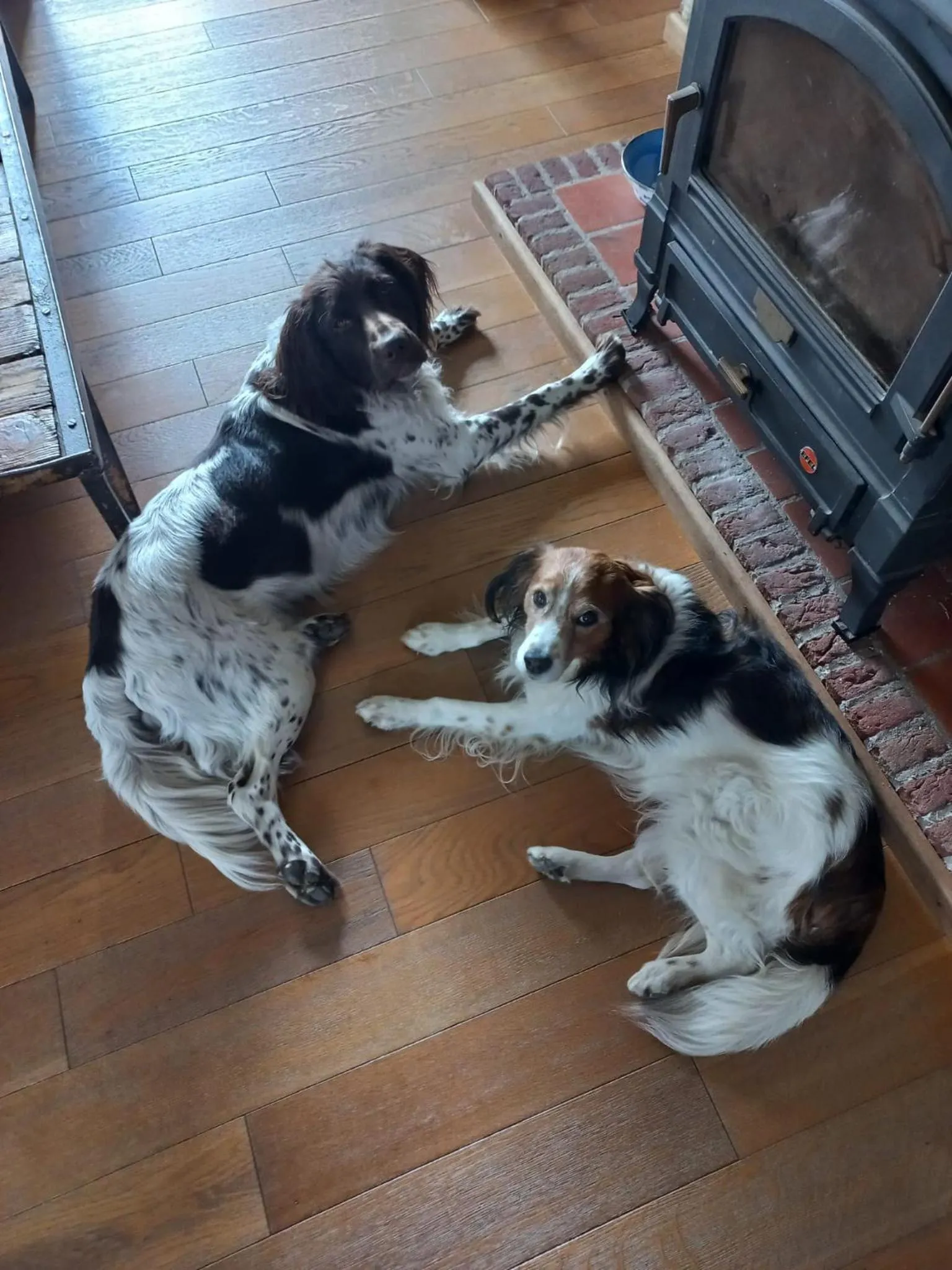 Property building in B&B LoFt 21