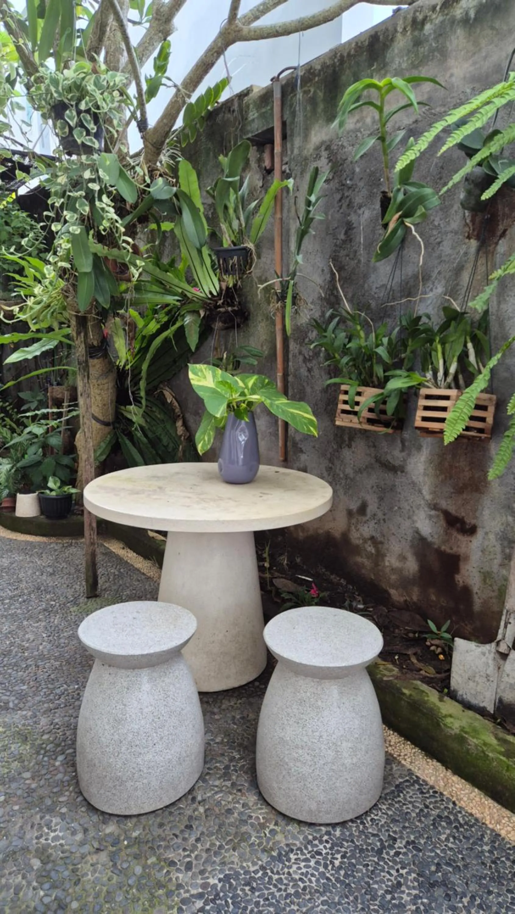 Patio in Laksmi Guest House