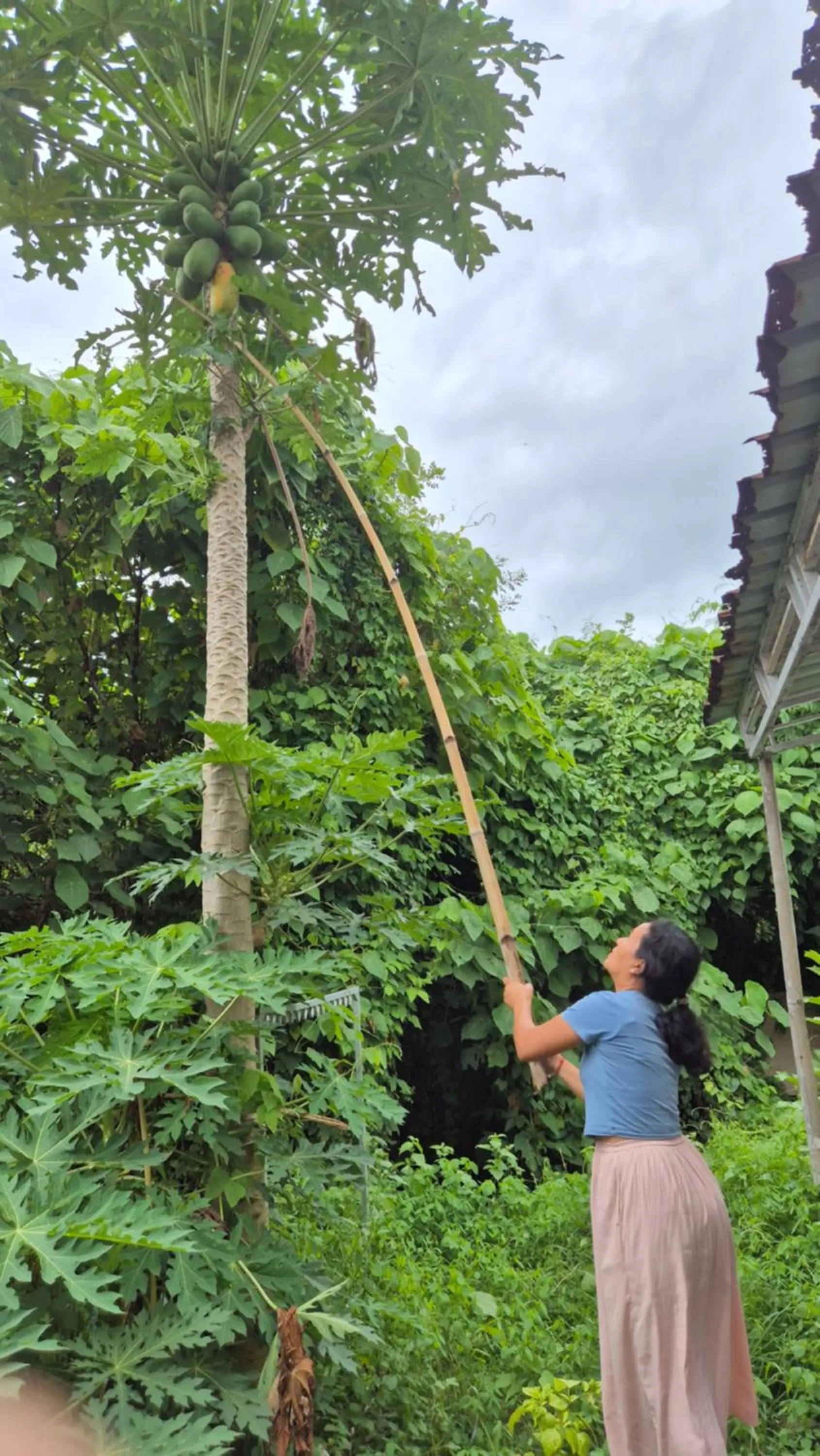 Area and facilities in Laksmi Guest House