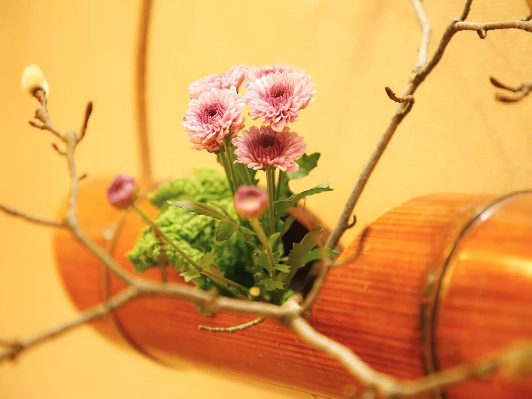 Other in Ryokan Chinsen-Rou