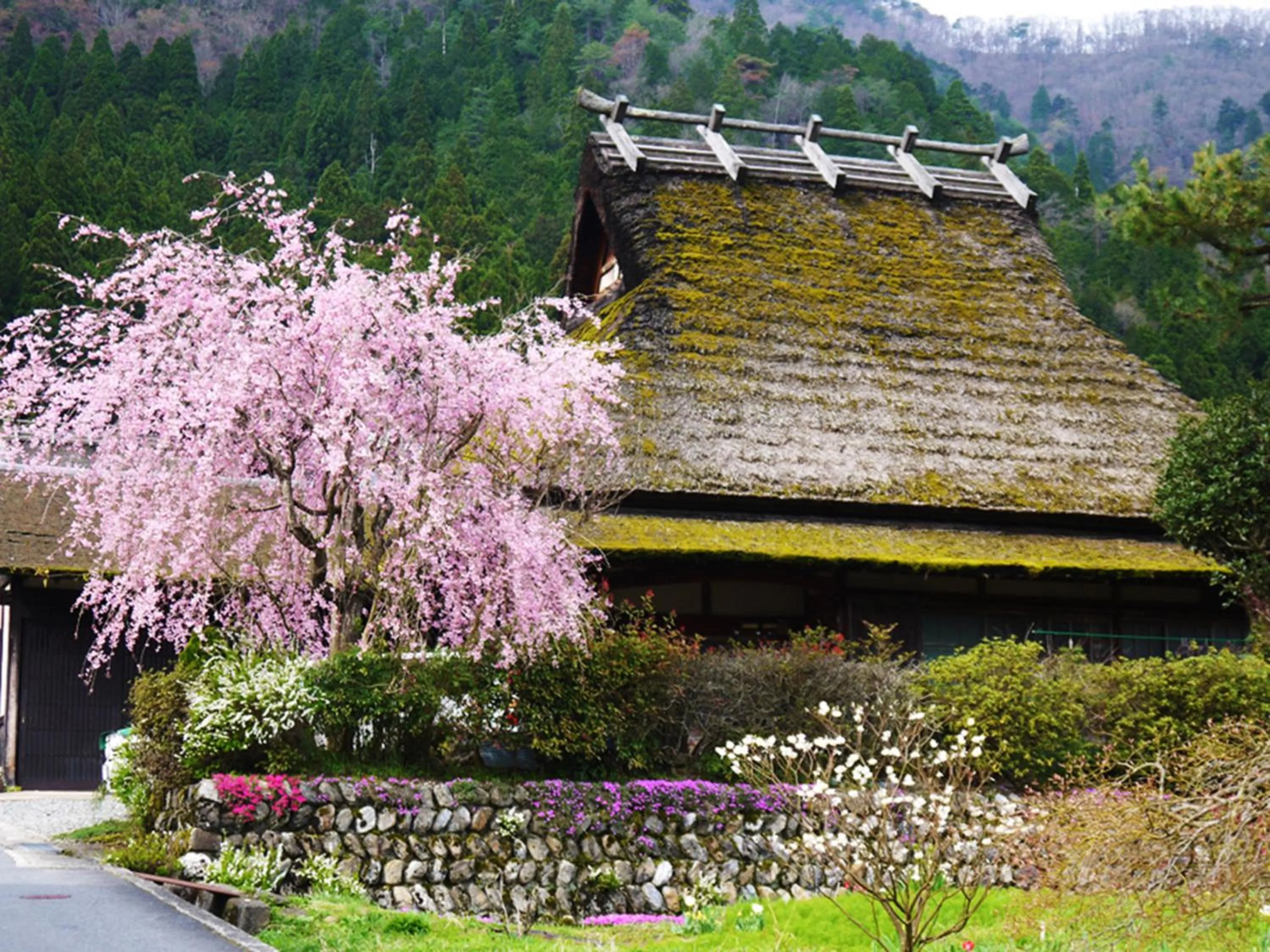 Spring in Ryokan Chinsen-Rou