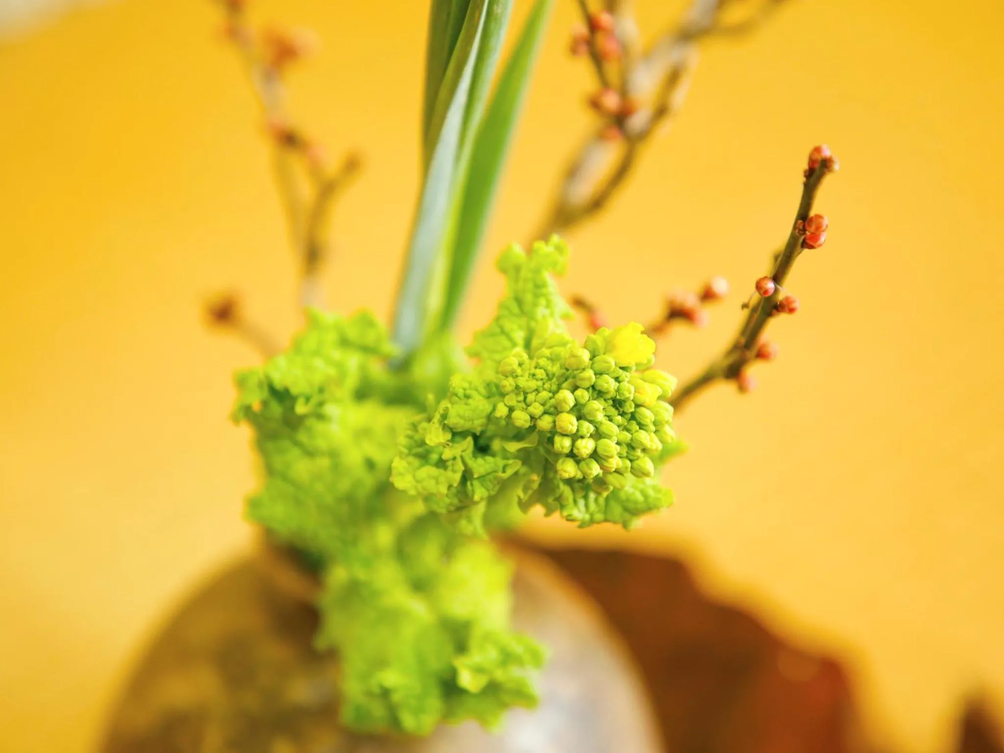 Other in Ryokan Chinsen-Rou