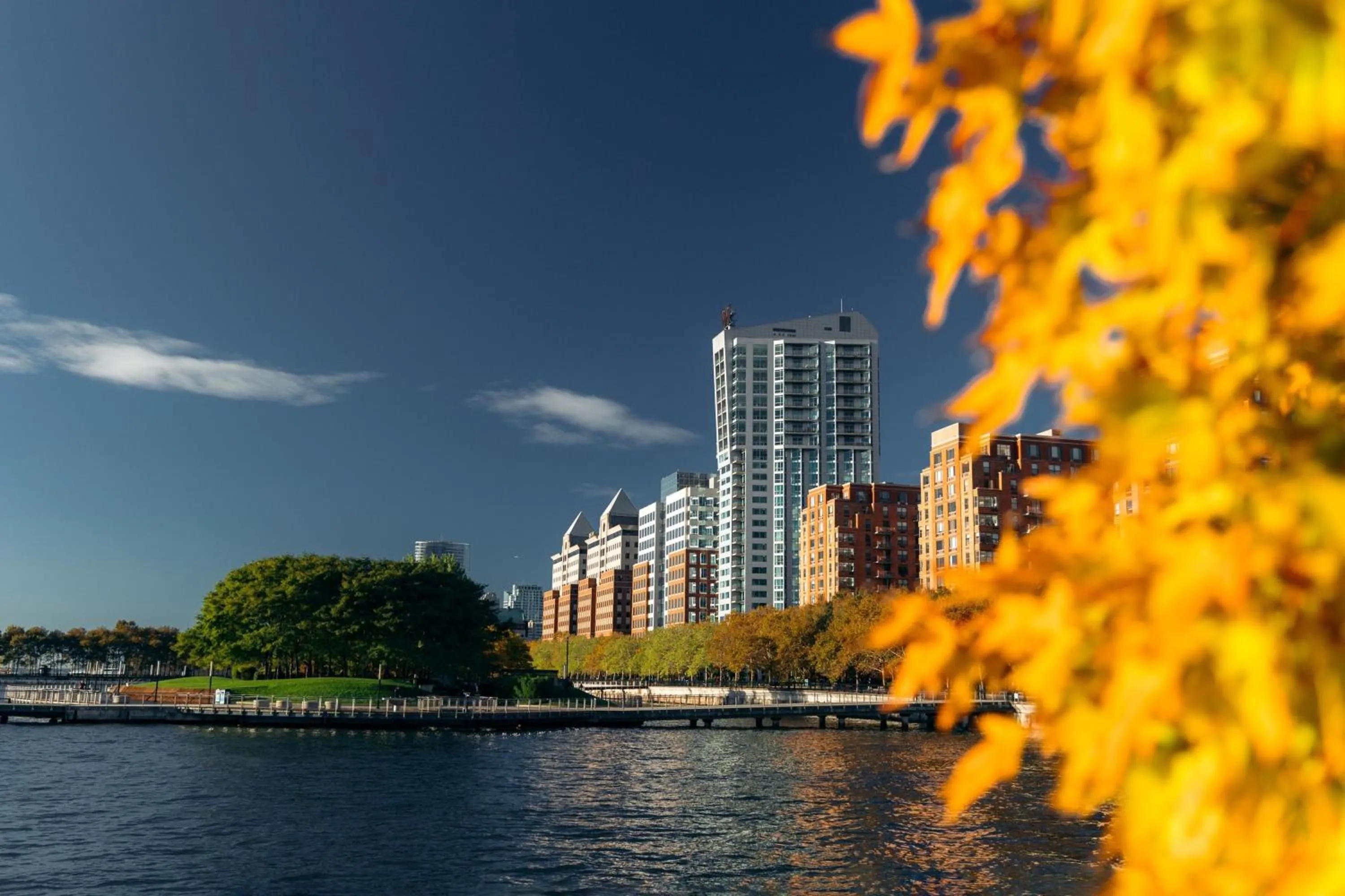View (from property/room) in W Hoboken