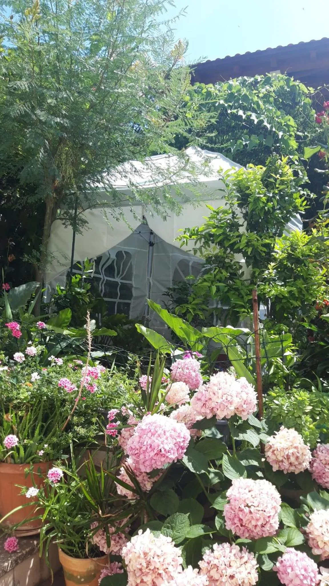 Massage in Apartments Zore Glavinić