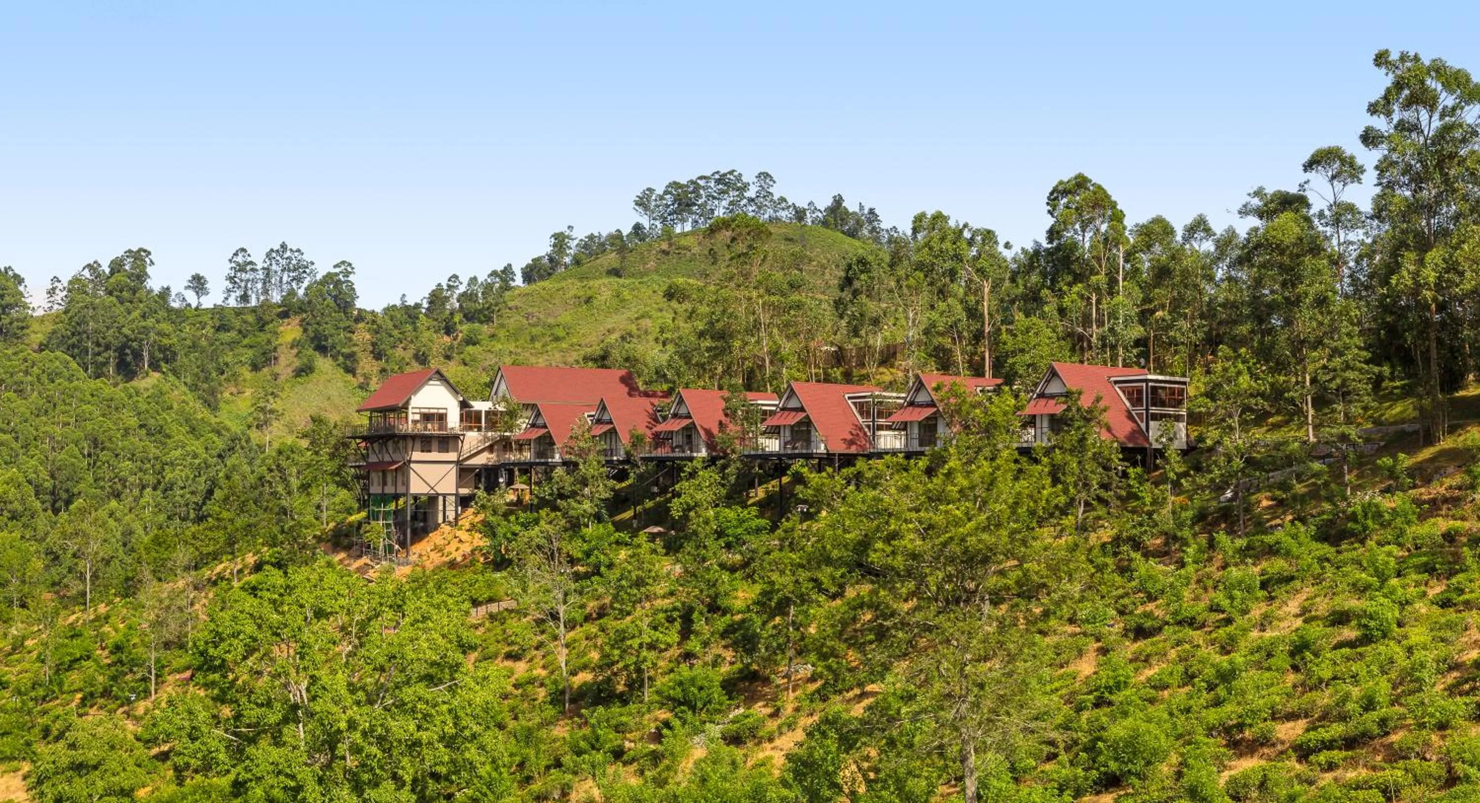 Natural landscape in Anasa Wellness Resort