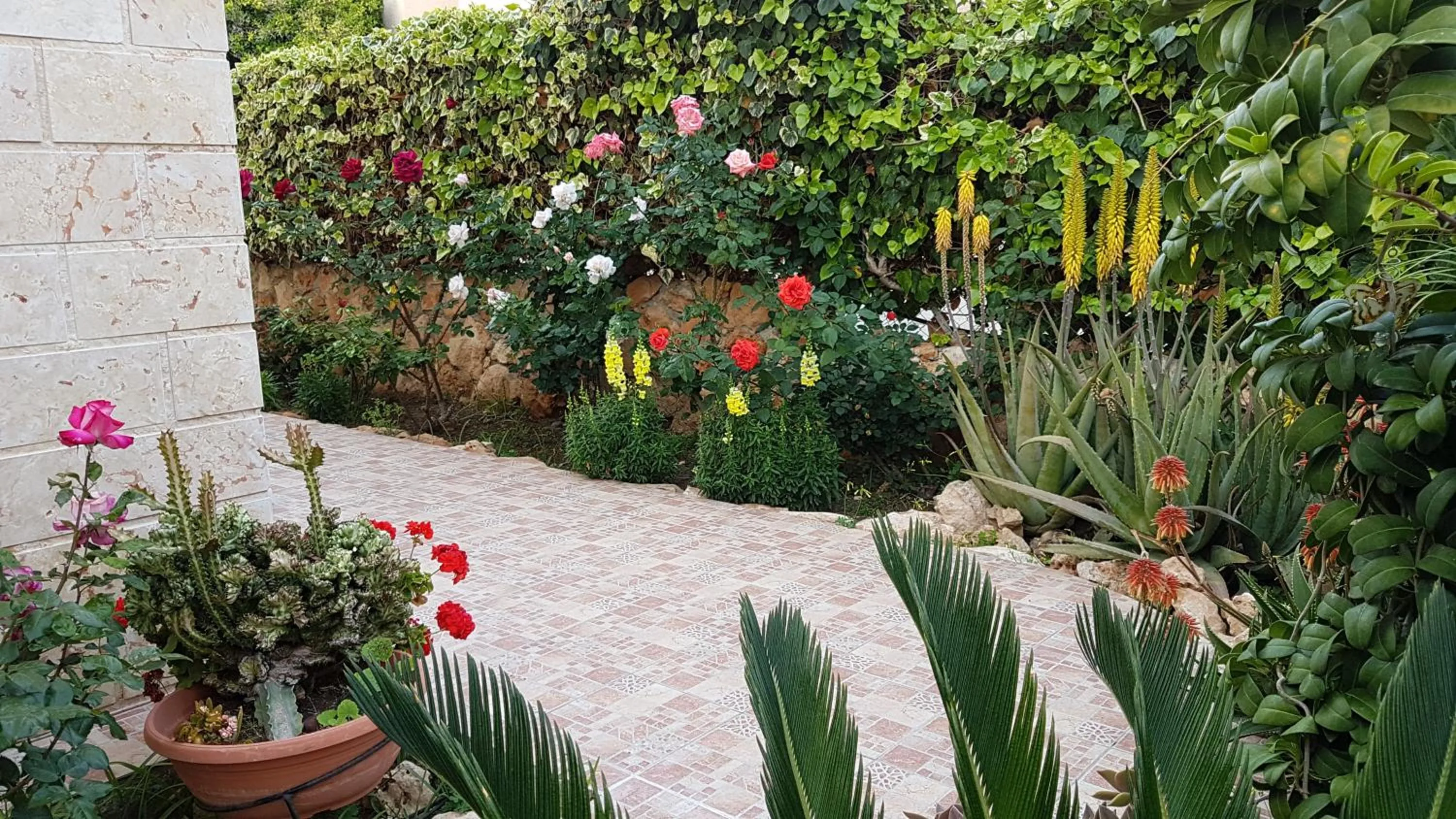 Philippou Beach Villas & Apartments