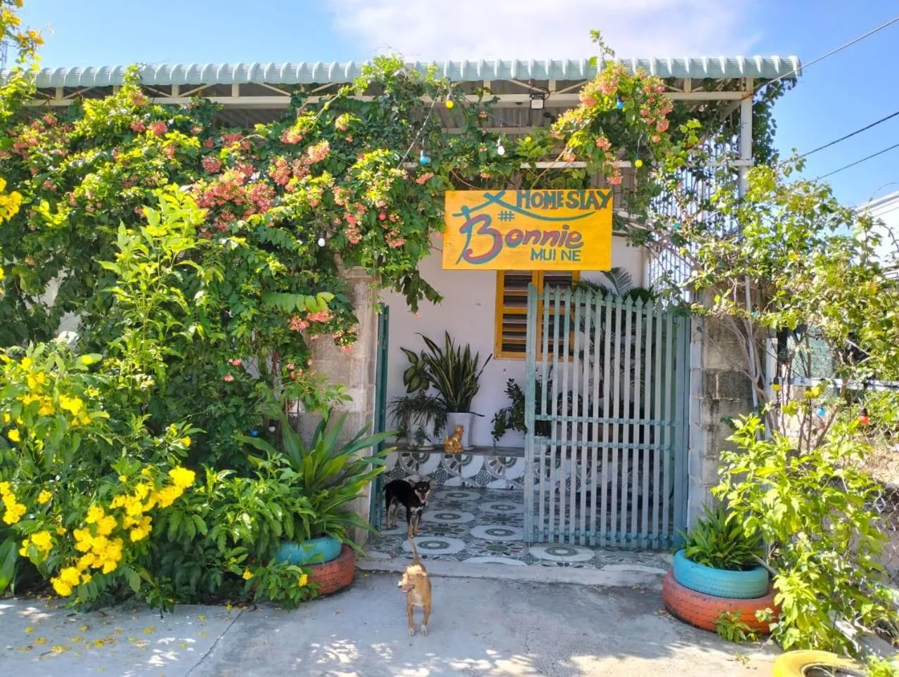 Property building in BONNIE HOMESTAY Mui Ne