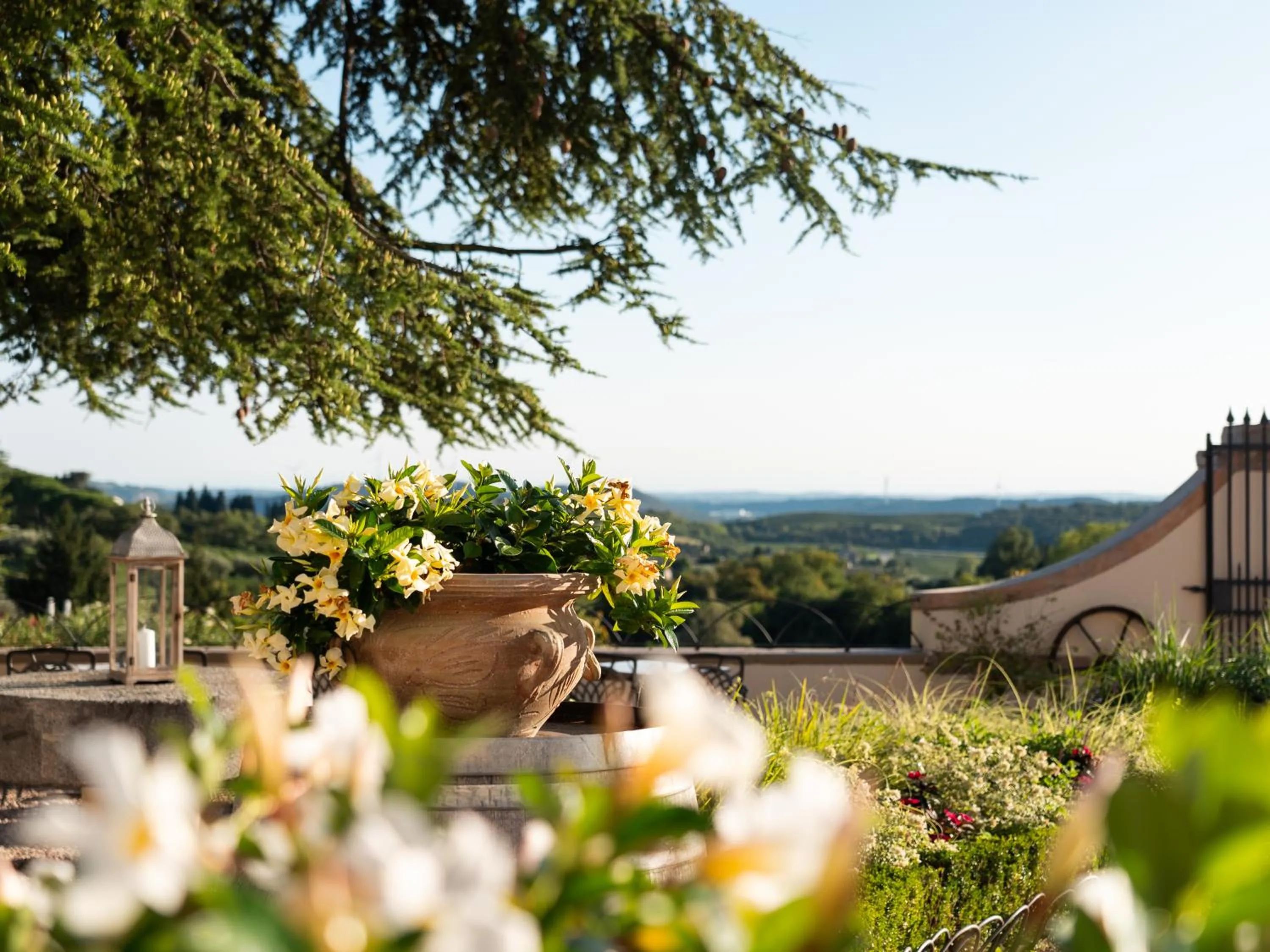 Garden in Hotel Villa Cariola