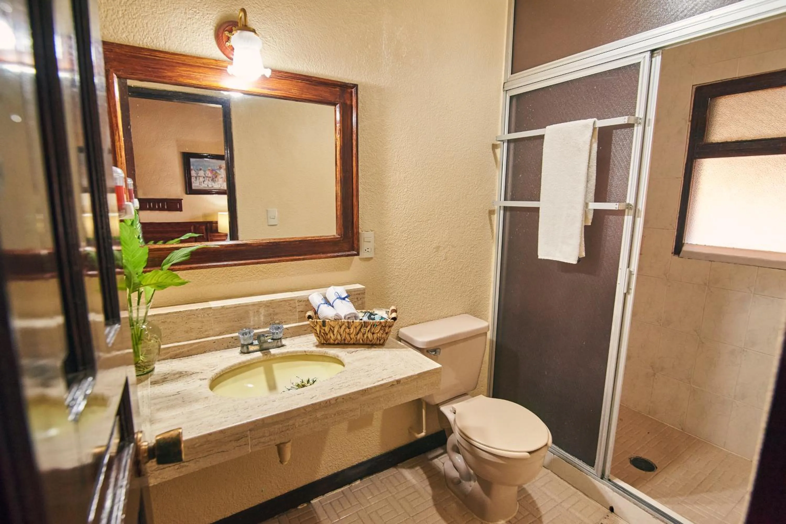 Toilet in Hotel Palacio de Moctezuma