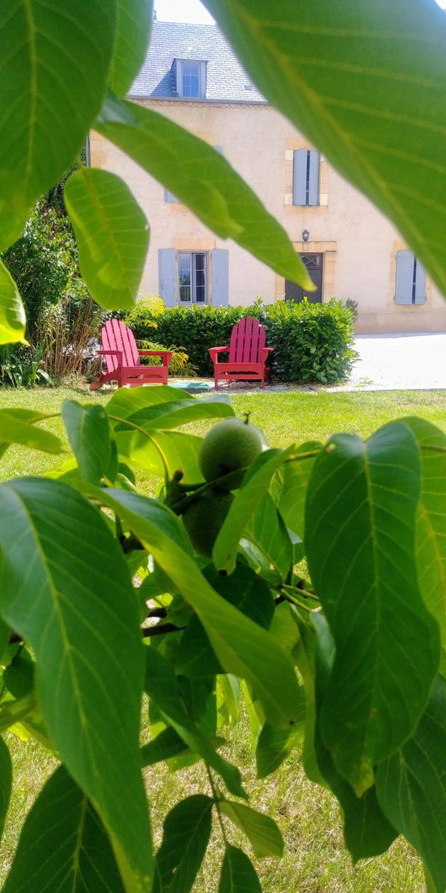 Decorative detail in Le Petit Manoir de Vitrac