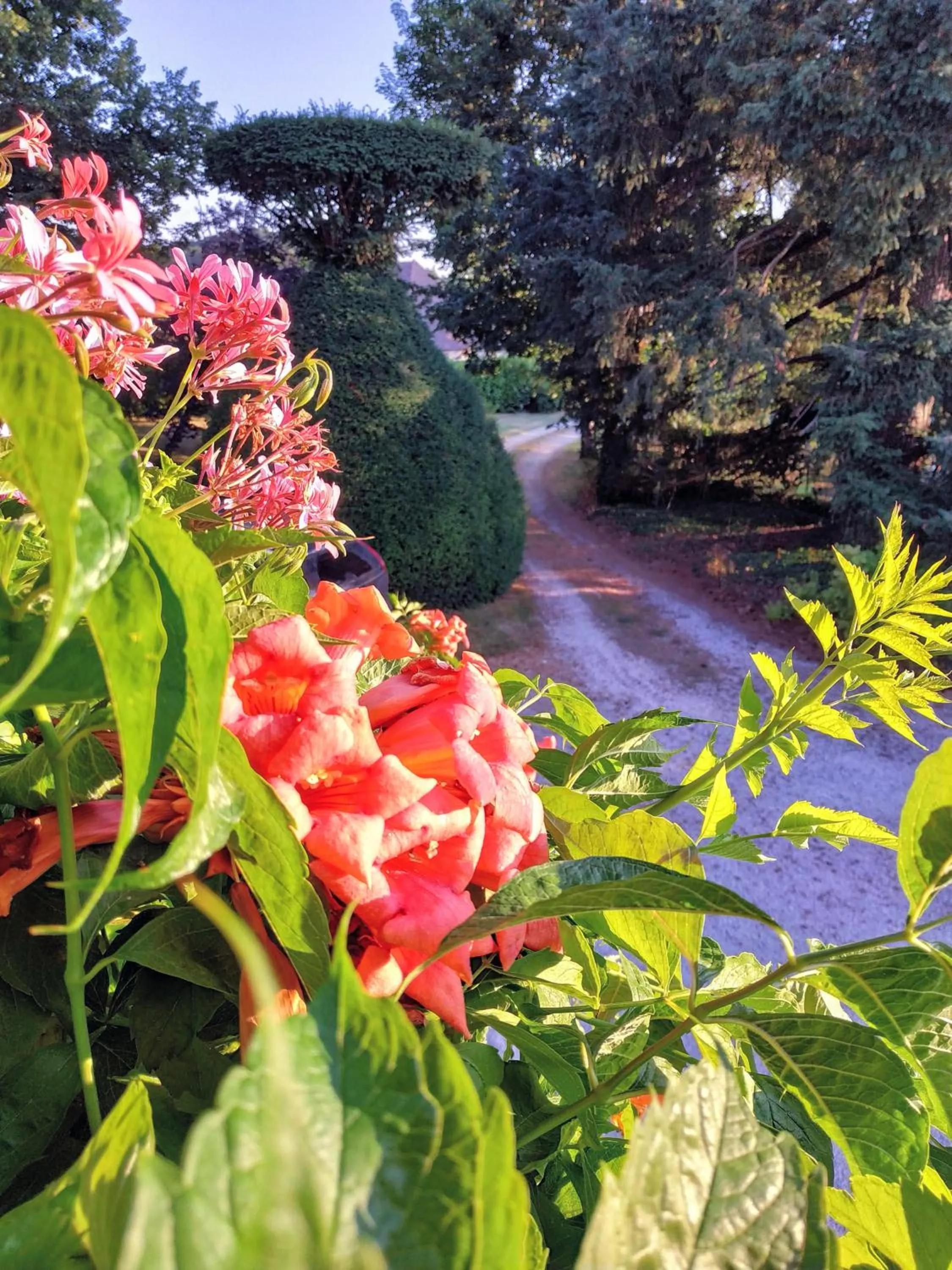 Garden in Le Petit Manoir de Vitrac