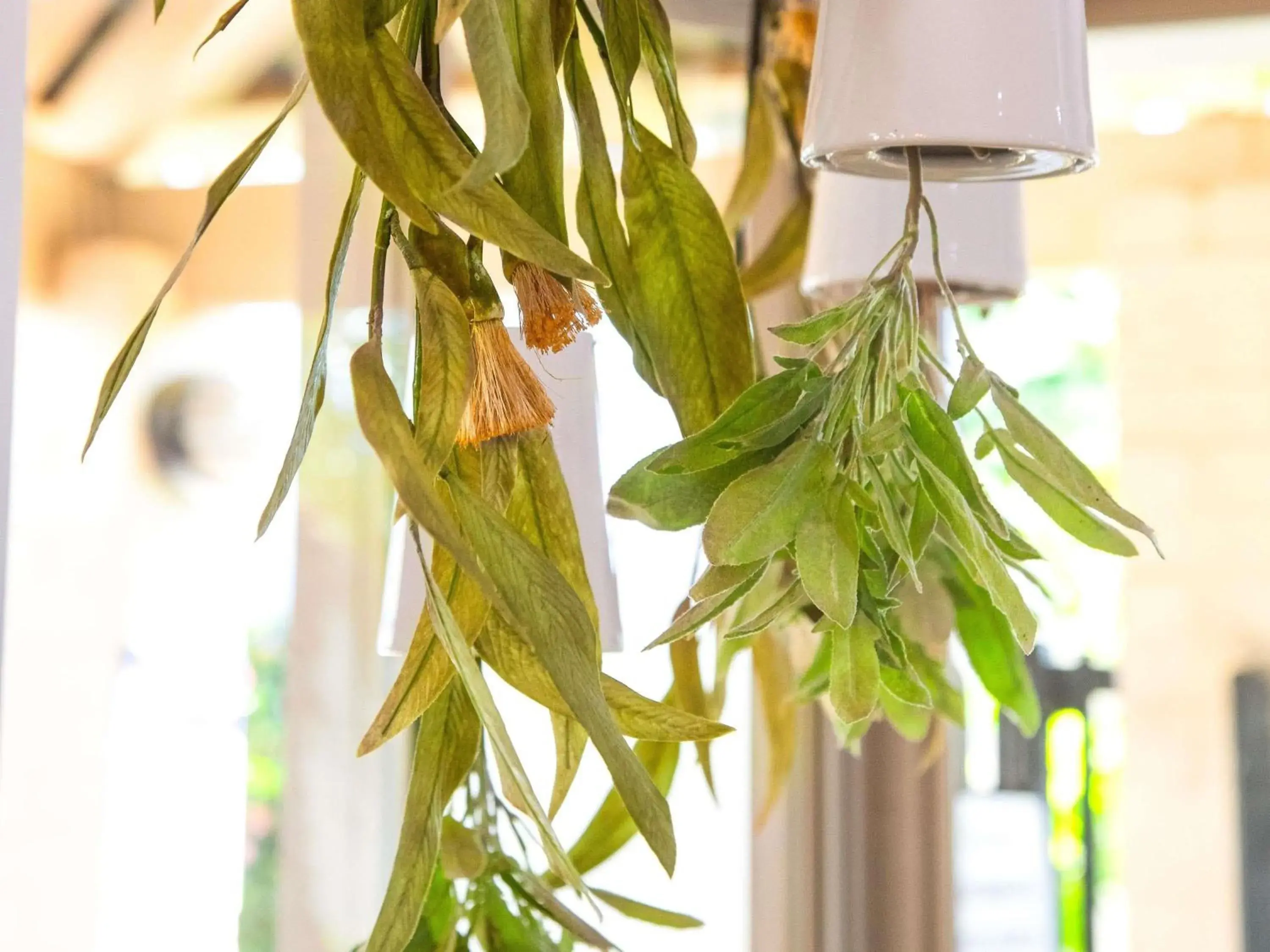 Property building in Ibis Styles Karratha Property building in Ibis Styles Karratha