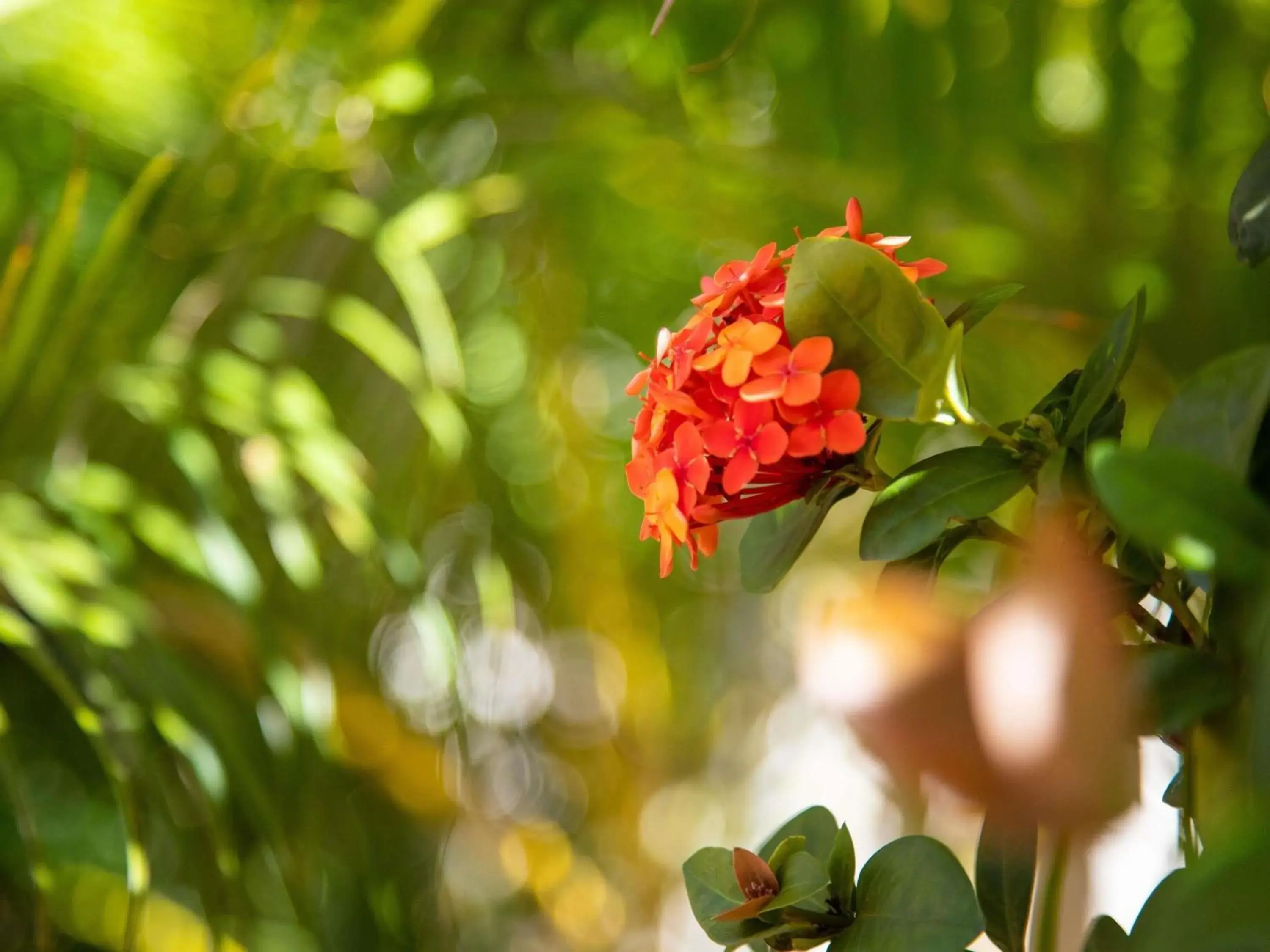 Property building in Ibis Styles Karratha Property building in Ibis Styles Karratha