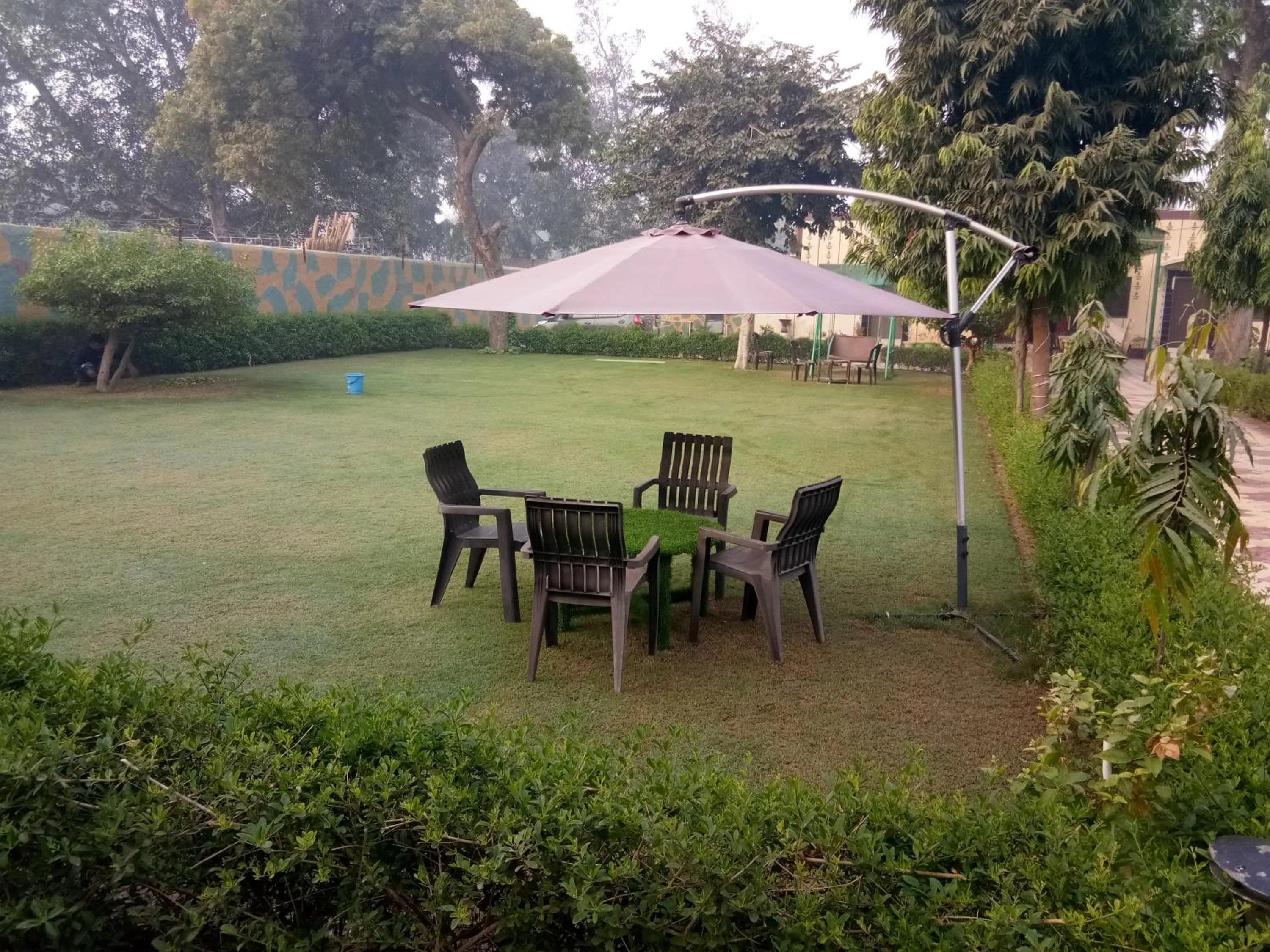 Garden in Radha Krishna Dham