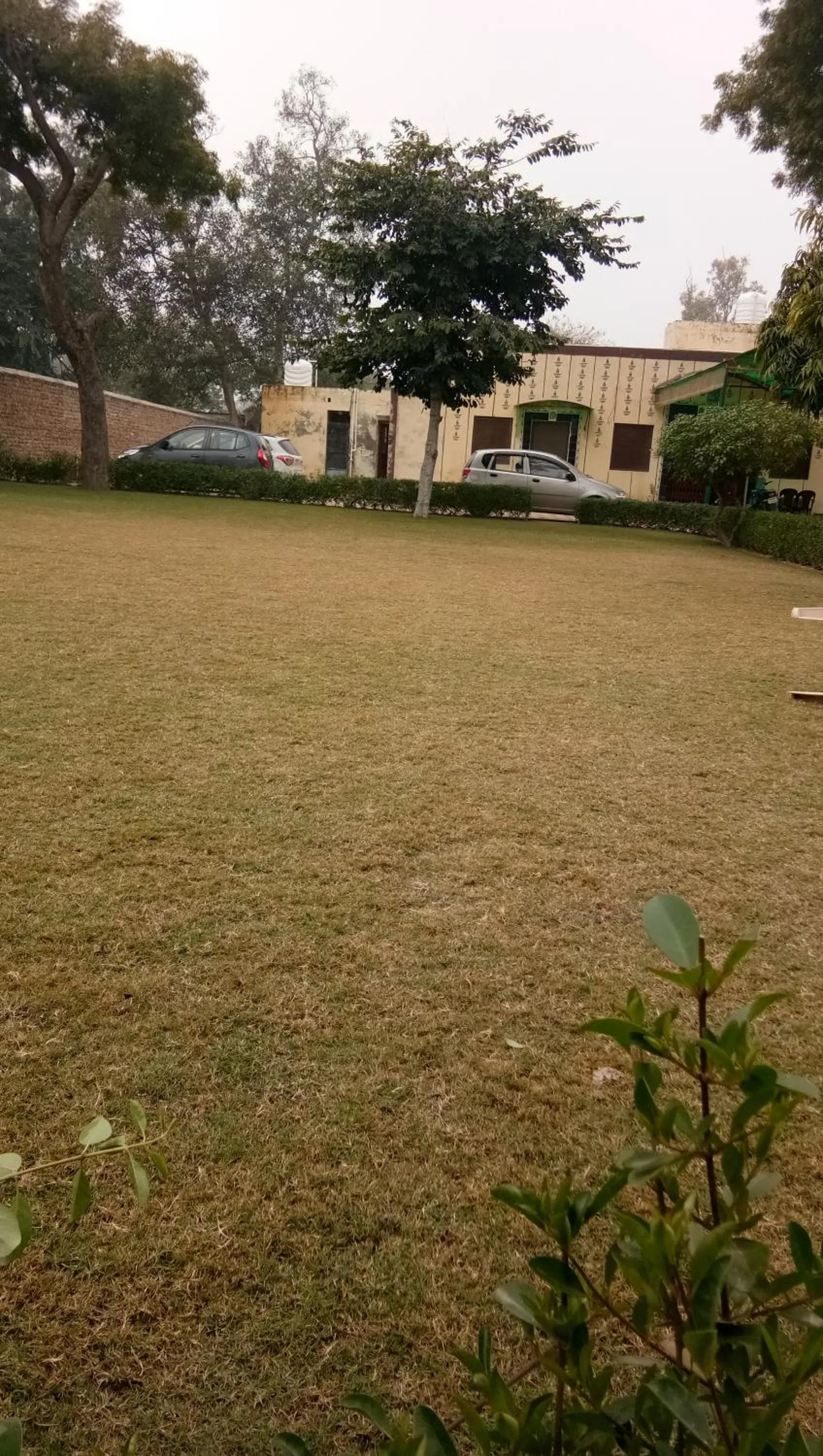 Garden in Radha Krishna Dham