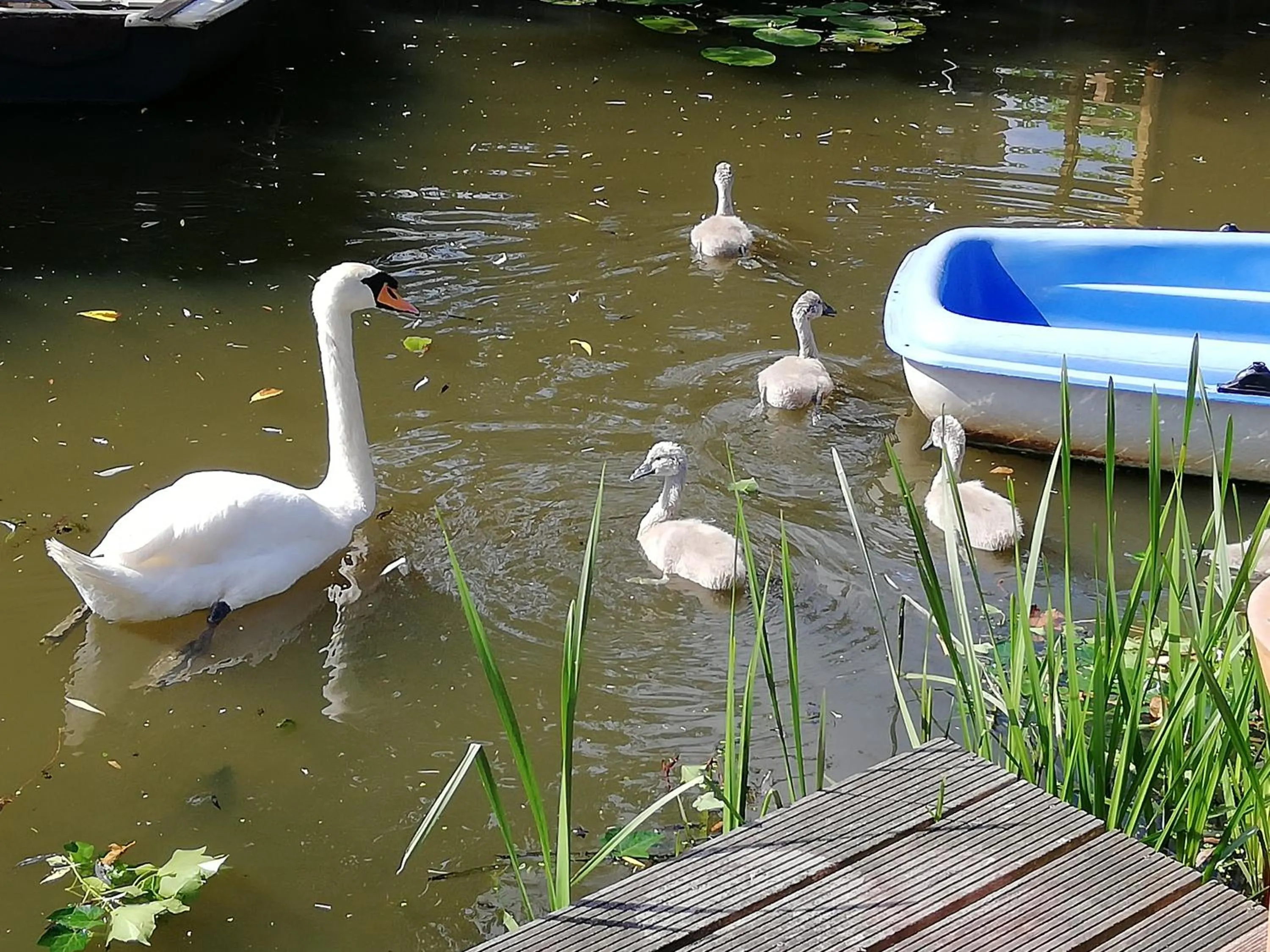 Canal Garden Apartment StayWell Amsterdam