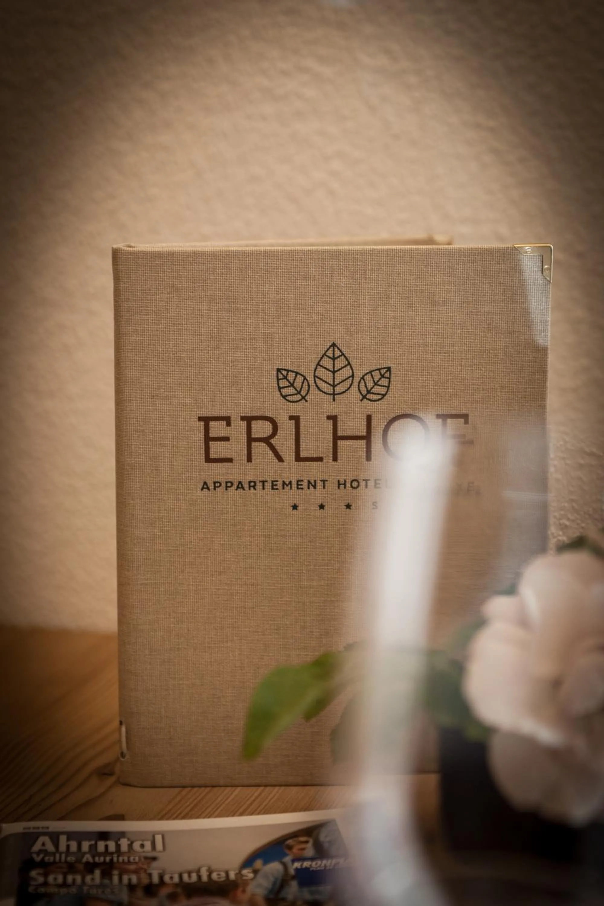 Decorative detail in Appartement Hotel Erlhof Deluxe