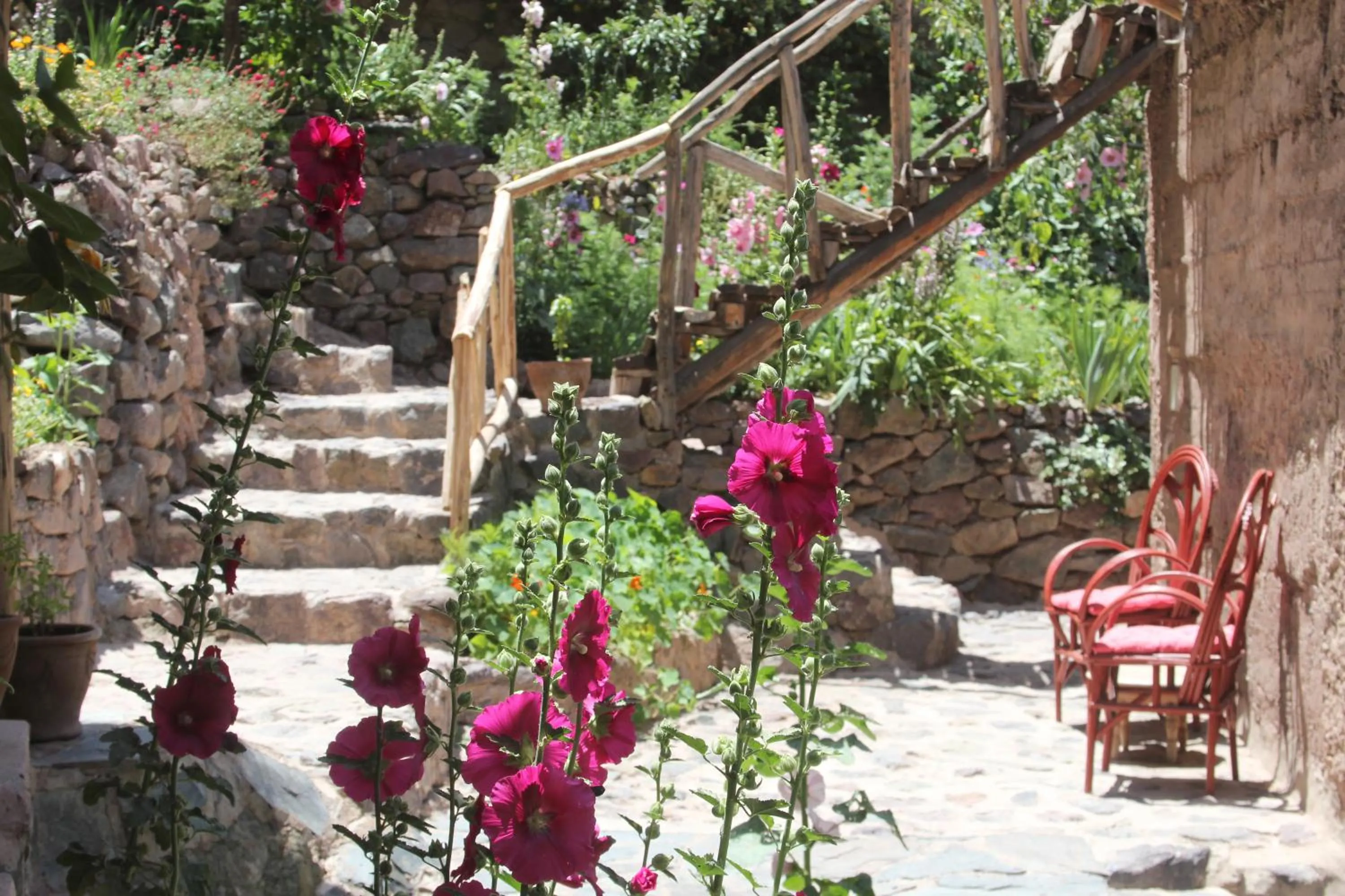 Property building in Douar Samra