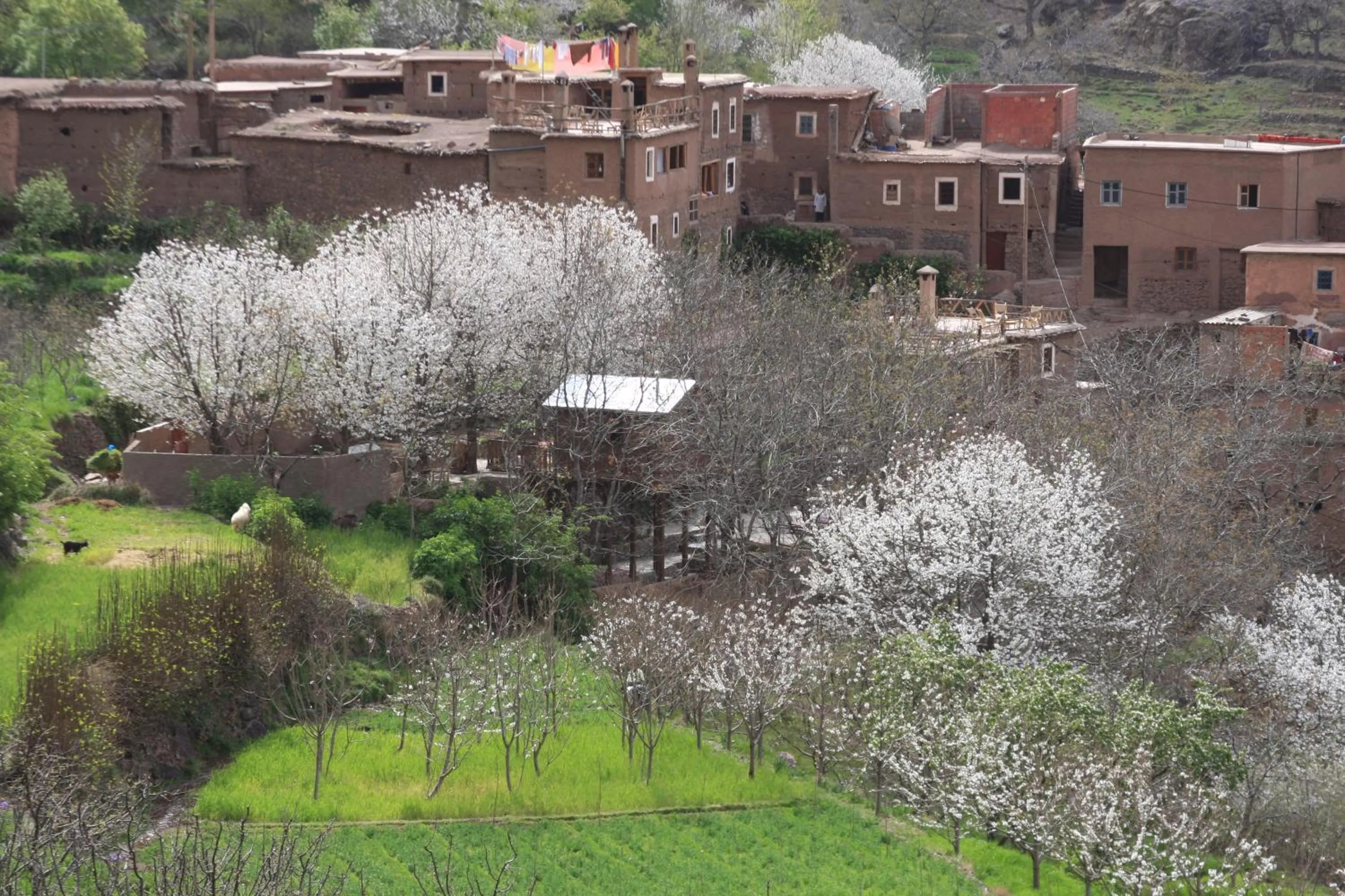 Property building in Douar Samra