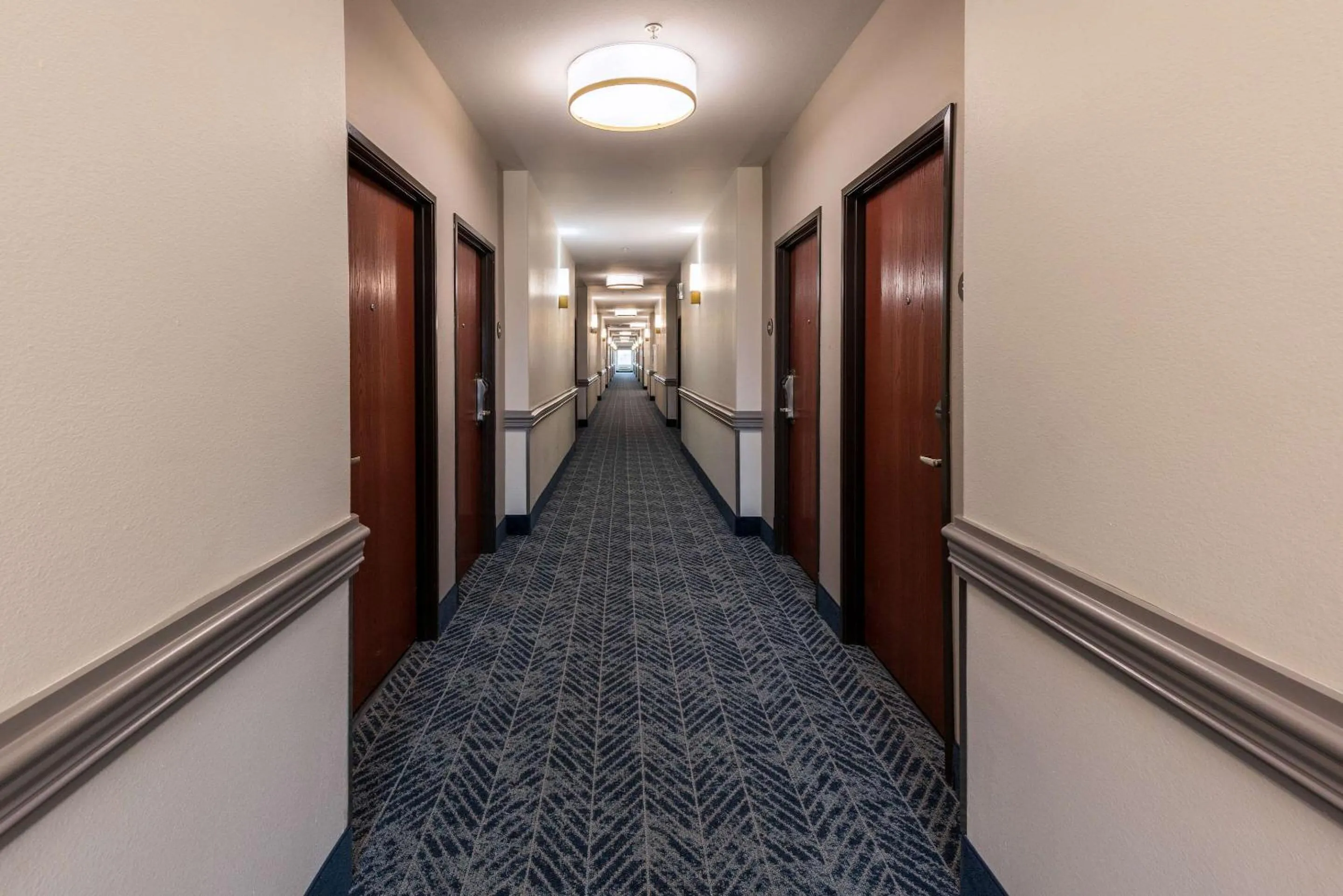 Lobby or reception in Comfort Inn & Suites New Iberia - Avery Island