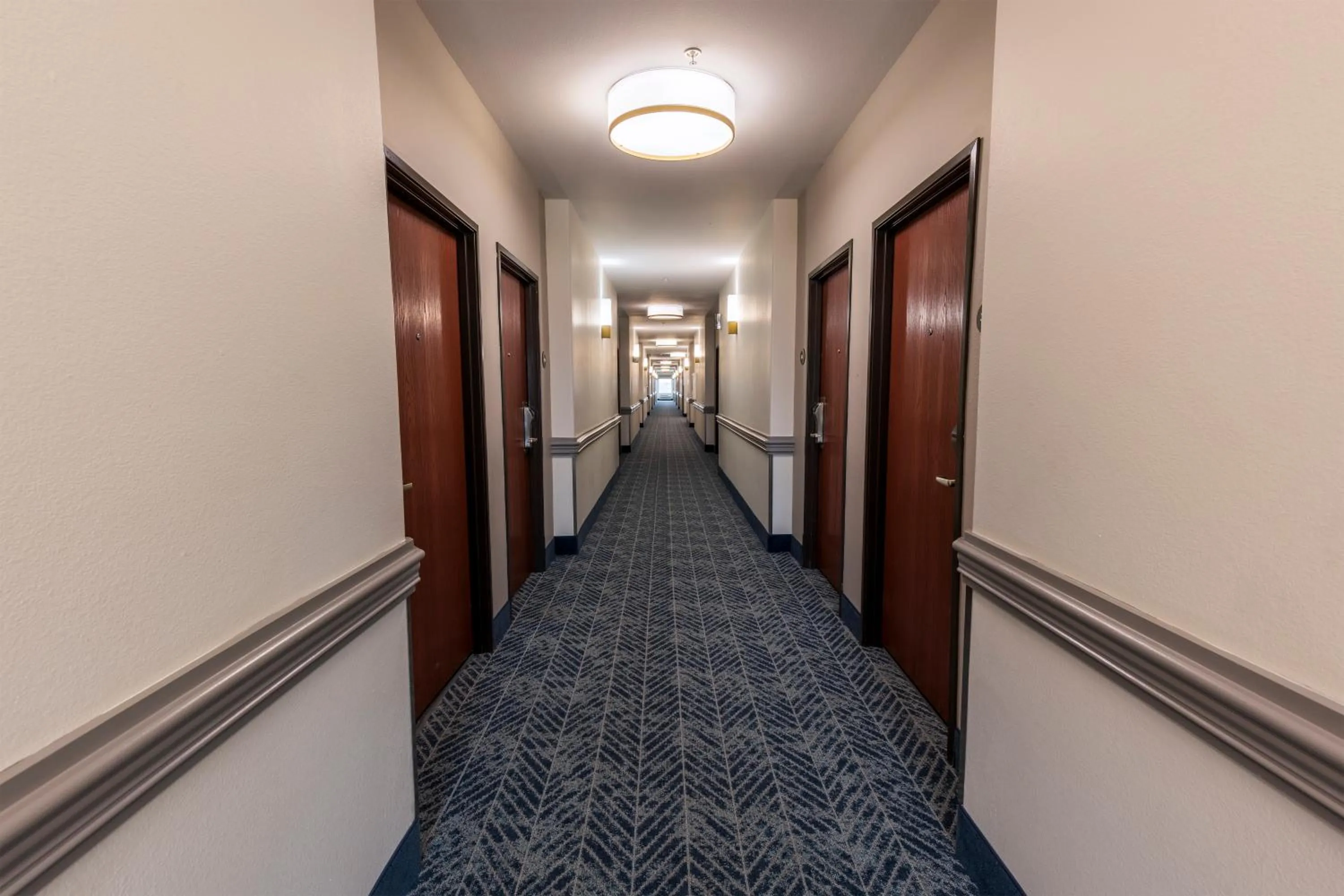 Comfort Inn & Suites New Iberia - Avery Island