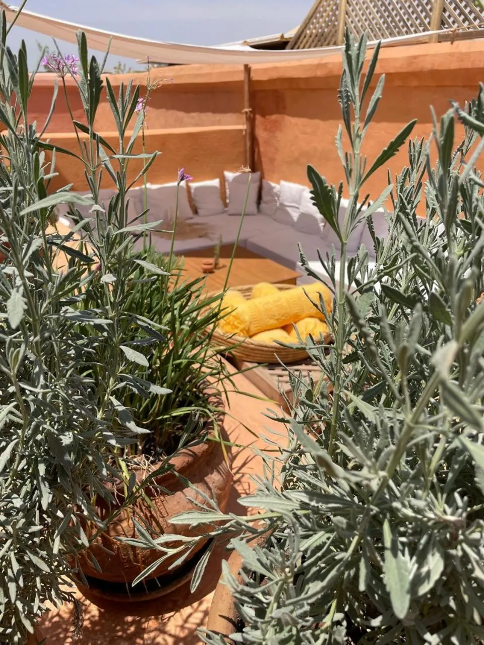 Patio in Dar El Qadi