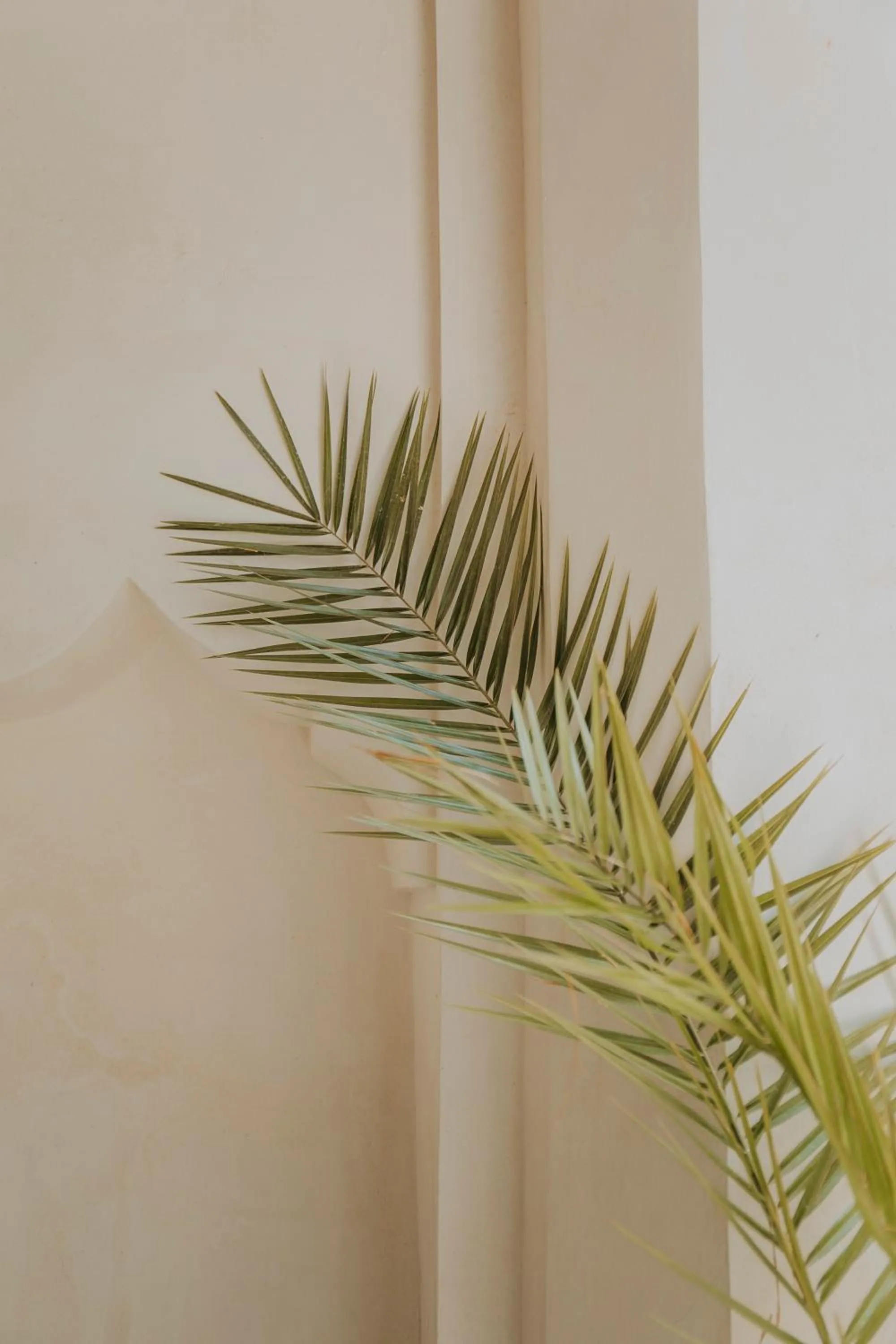 Decorative detail in Dar El Qadi