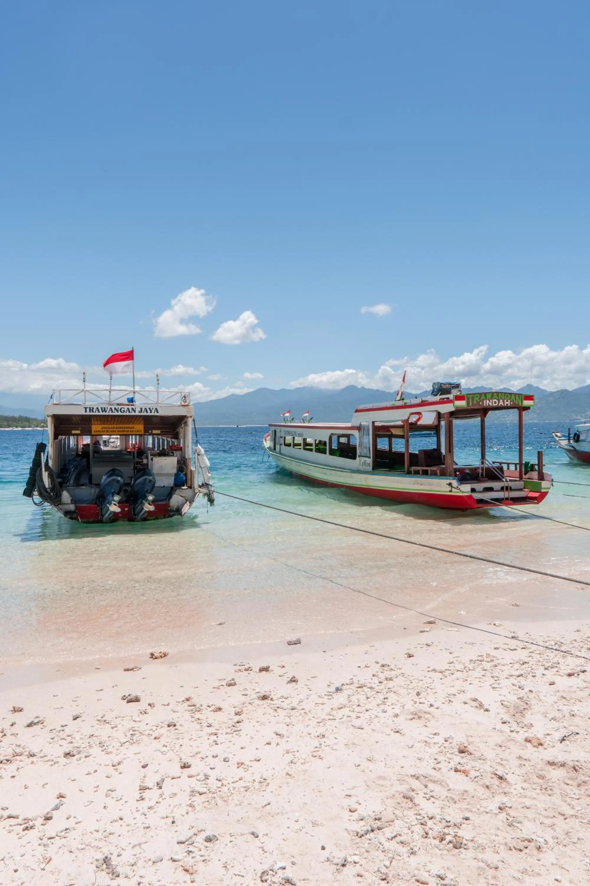 Beach in Eden Eco Resort