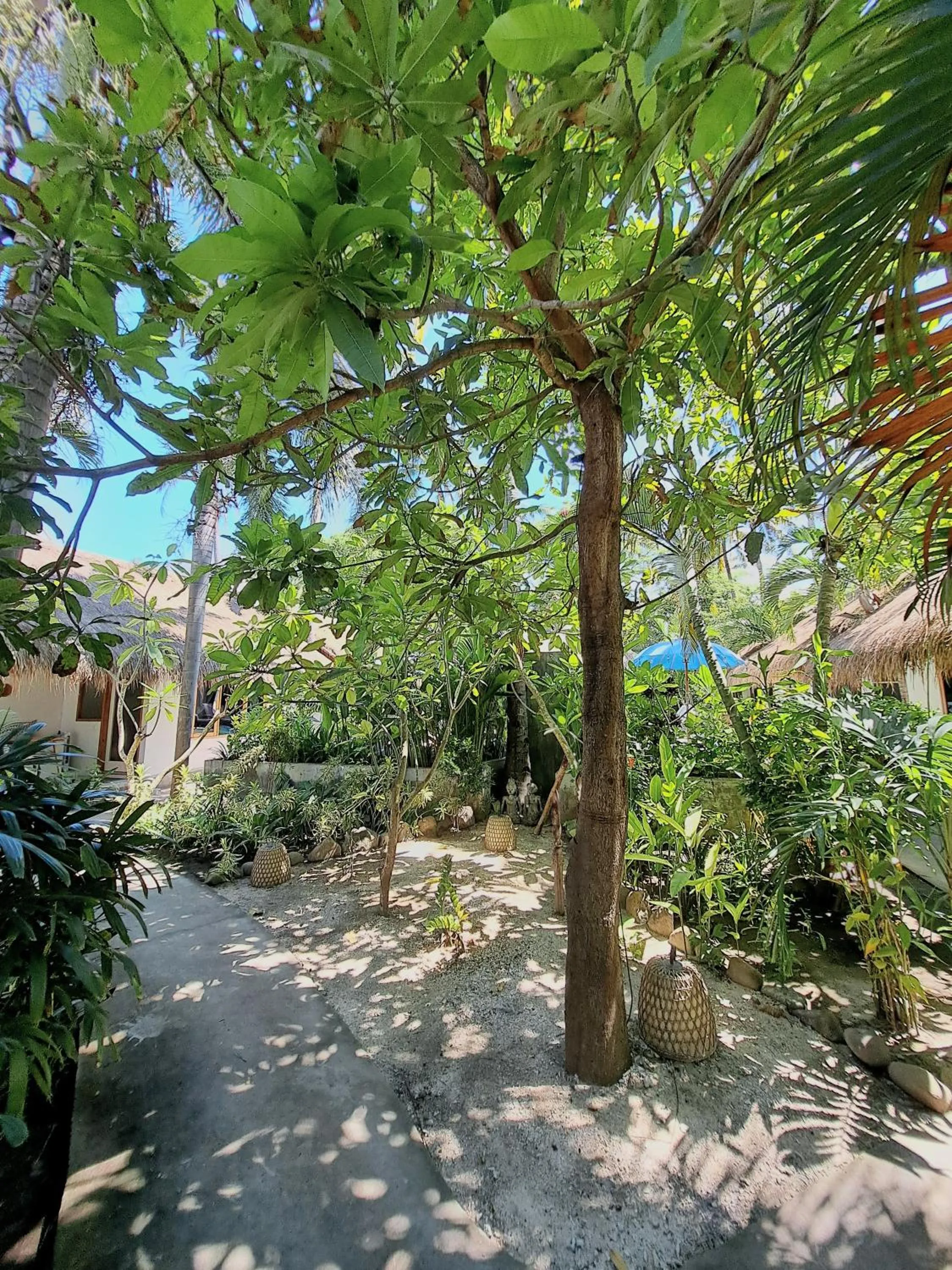 Natural landscape in Eden Eco Resort