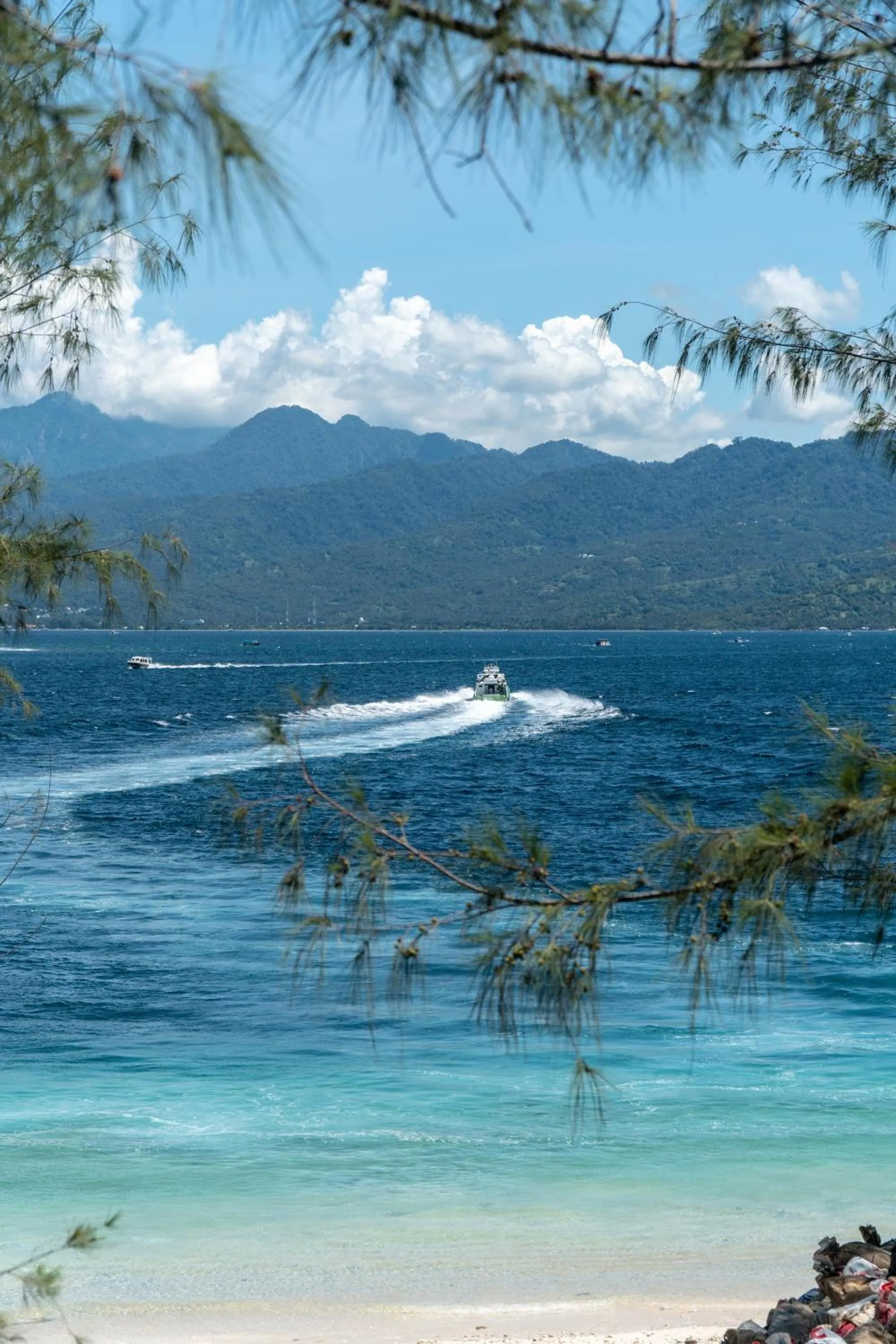 Natural landscape in Eden Eco Resort