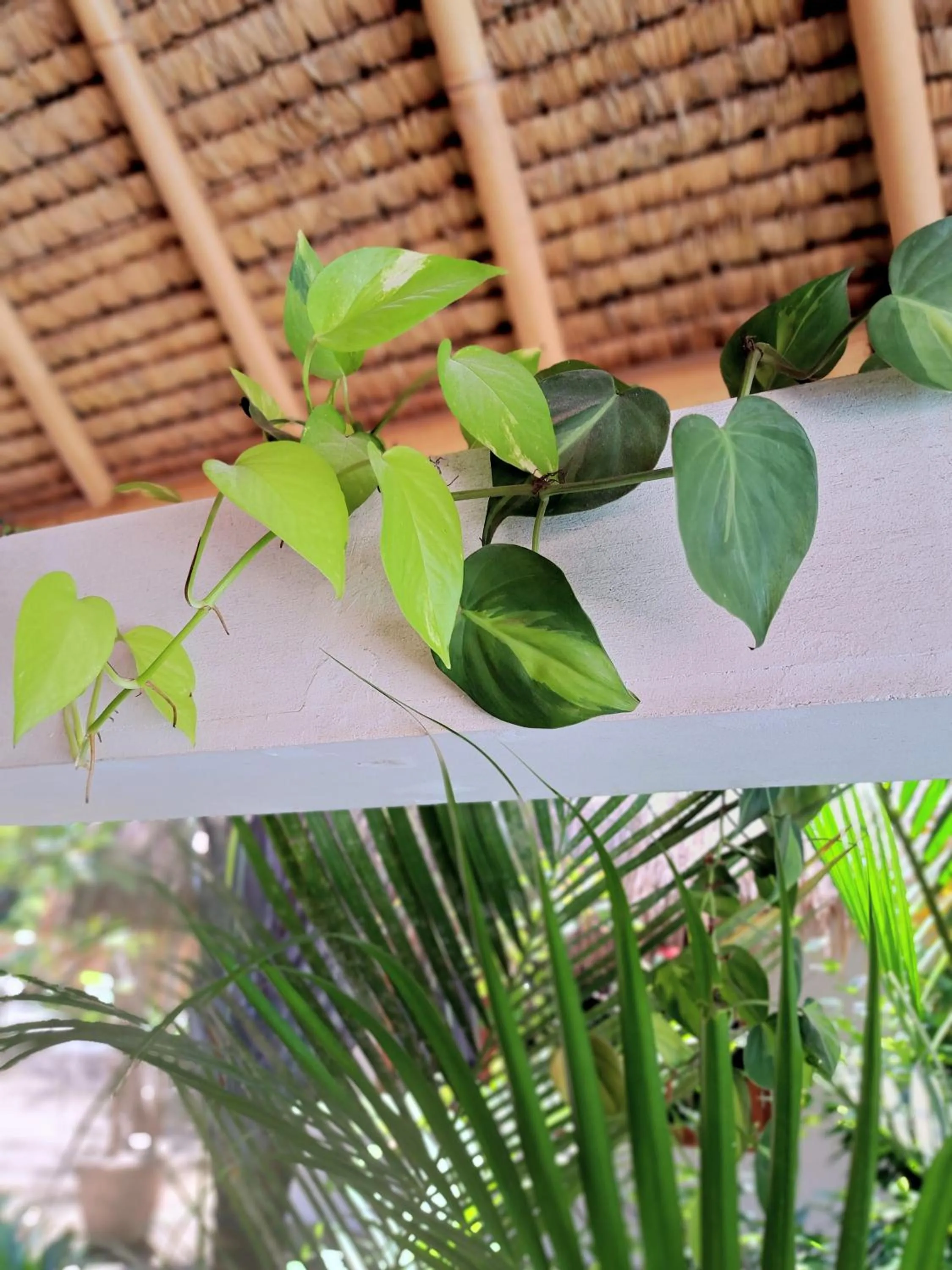 Day in Eden Eco Resort