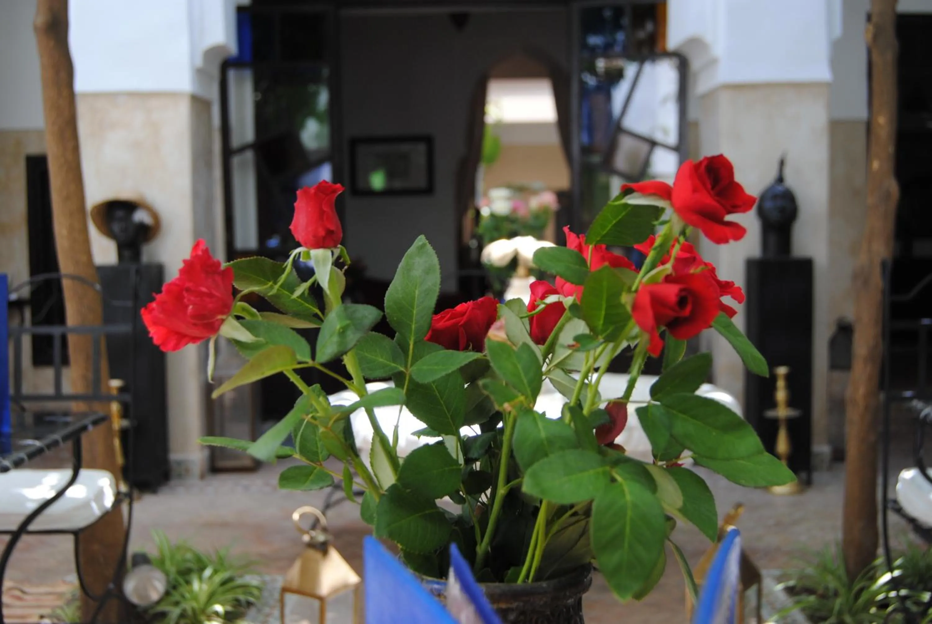 Riad dar Ourika & SPA