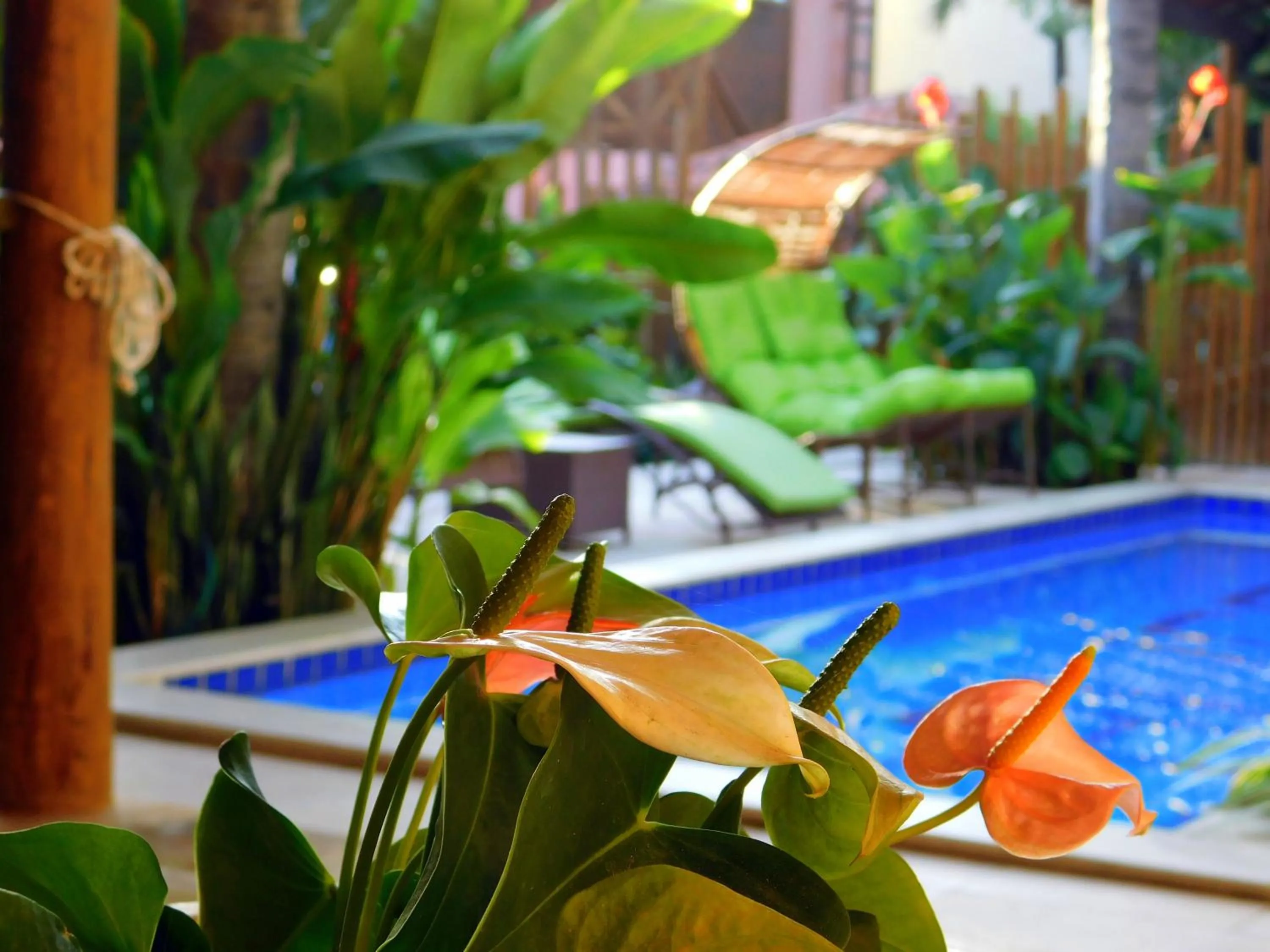 Decorative detail in Pousada CasAlice