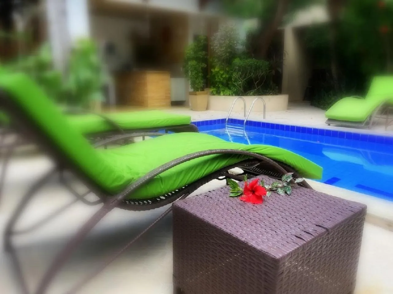 Swimming pool in Pousada CasAlice