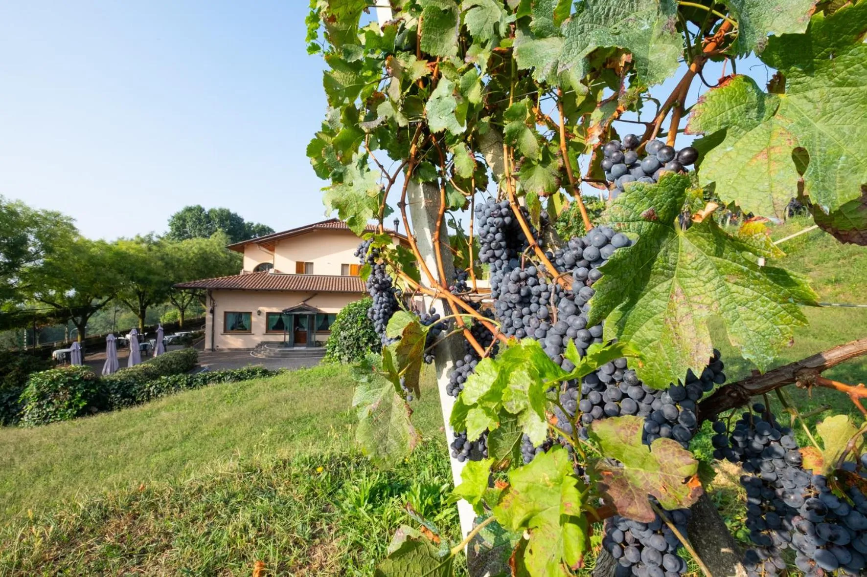 Property building in Al-Colle