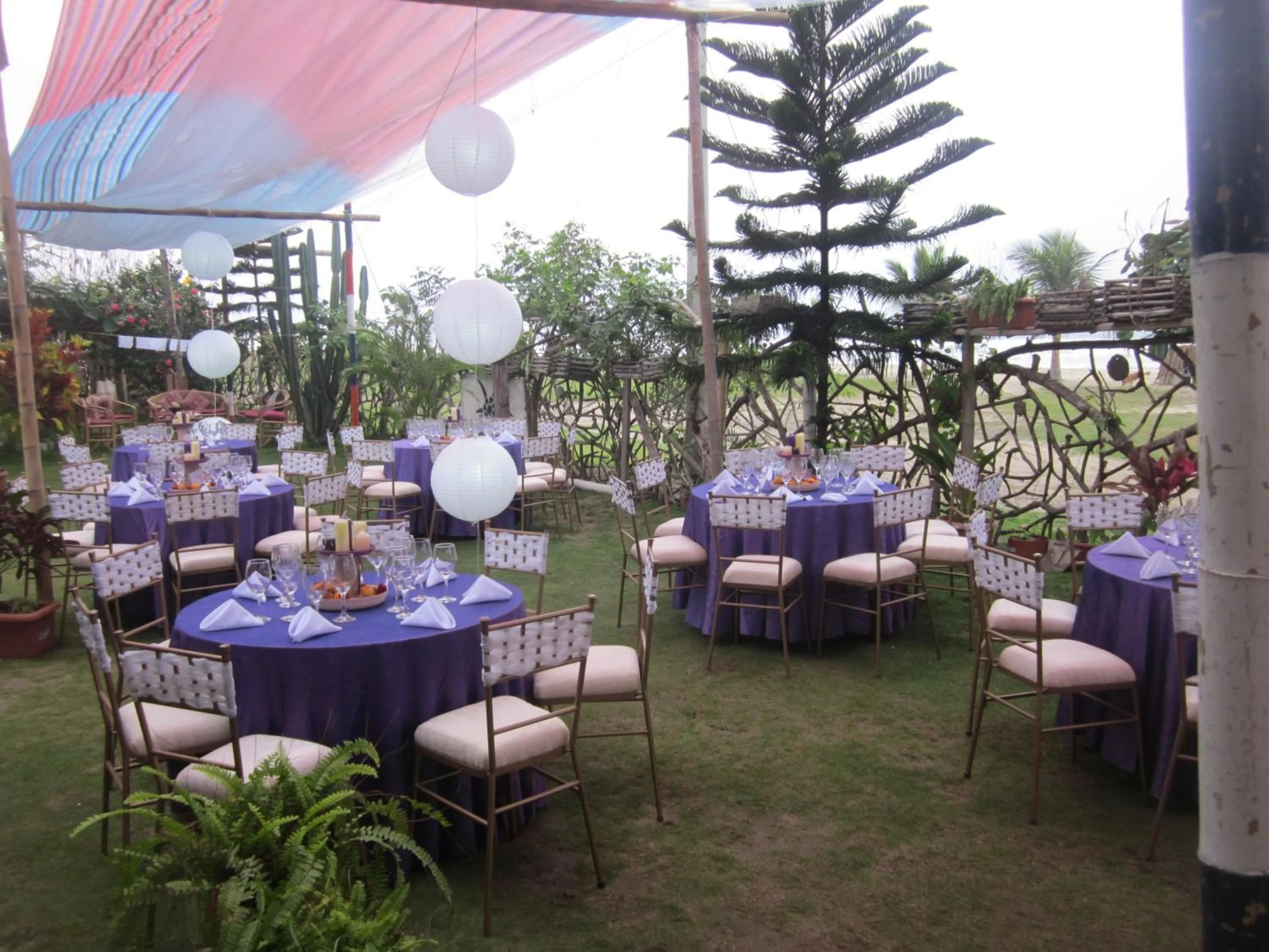 Restaurant/places to eat in The Sea Garden House