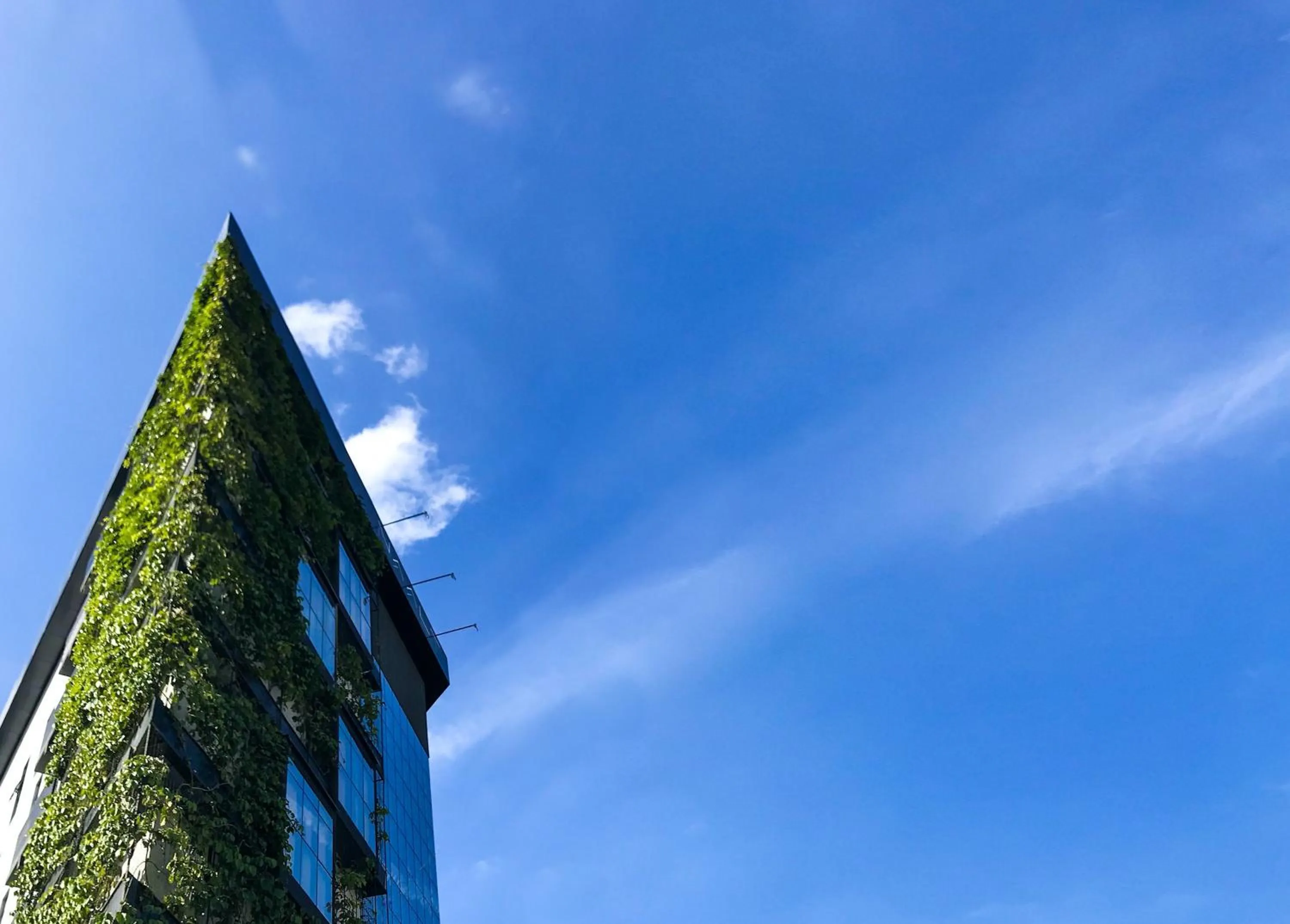 Facade/entrance in Naalt Hotel Joinville