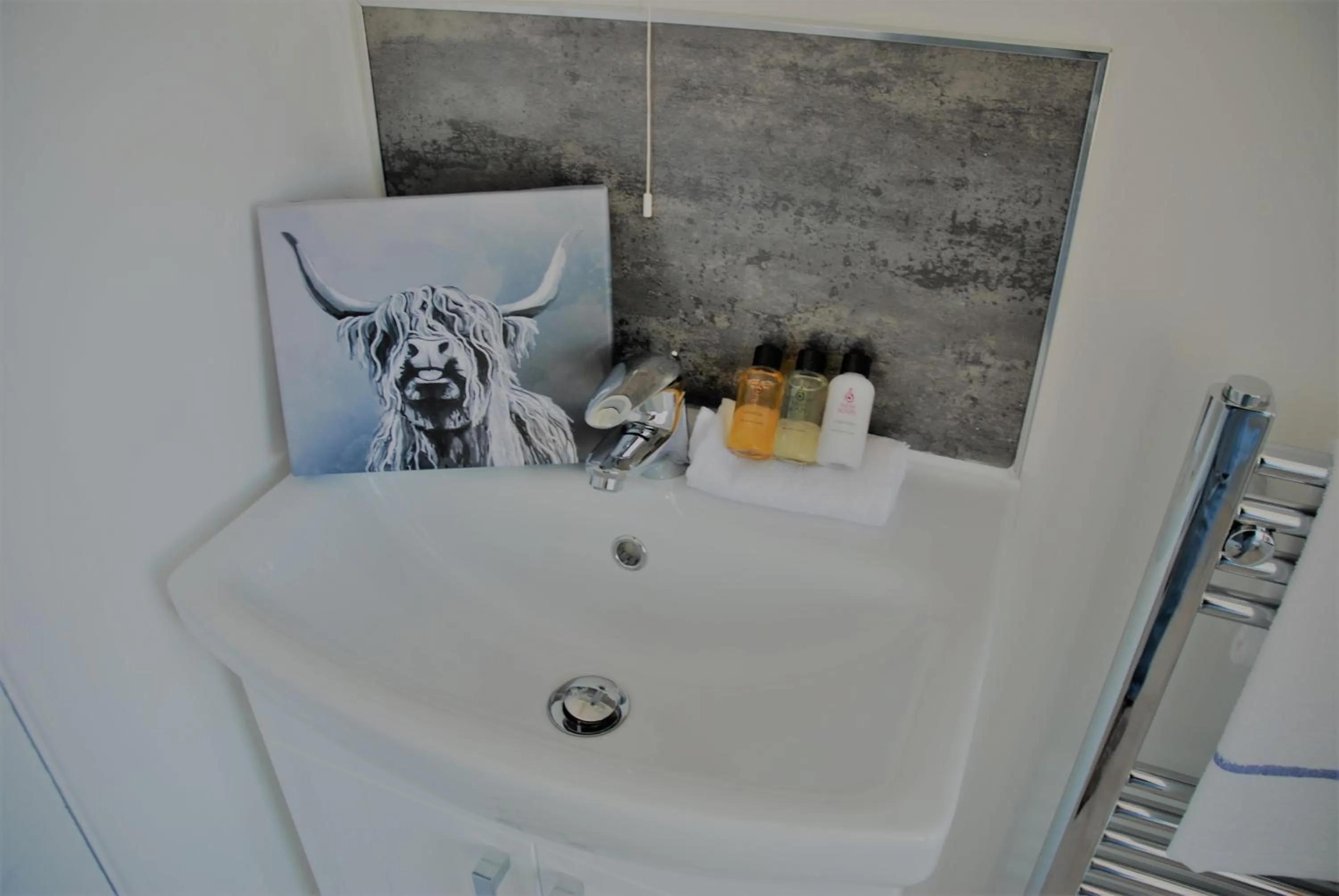 The Coo's Guest House