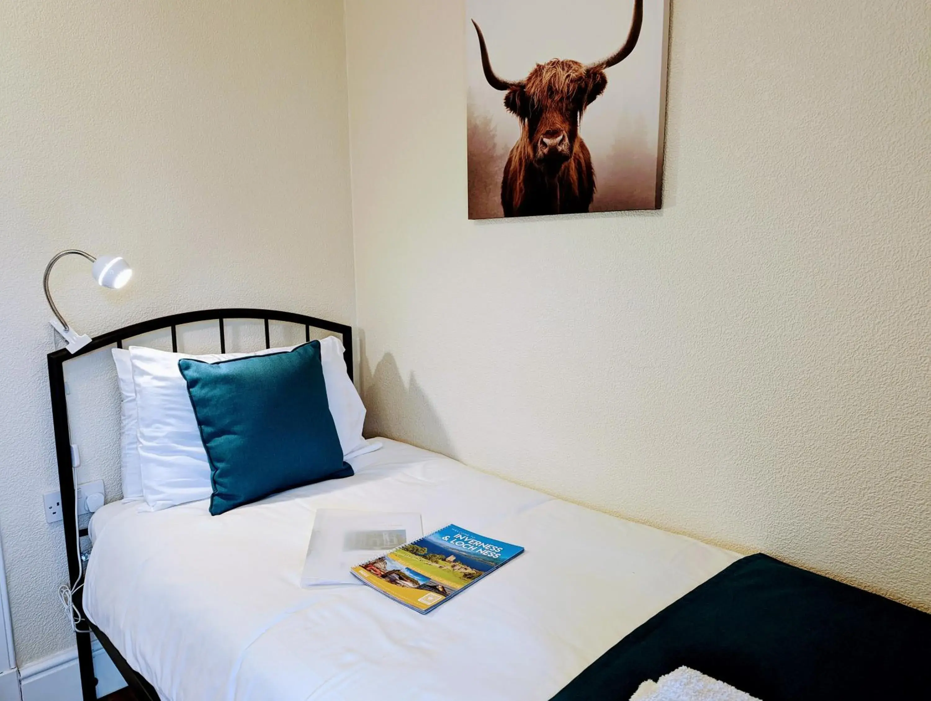 Single Room - single occupancy in The Coo's Guest House Single Room - single occupancy in The Coo's Guest House