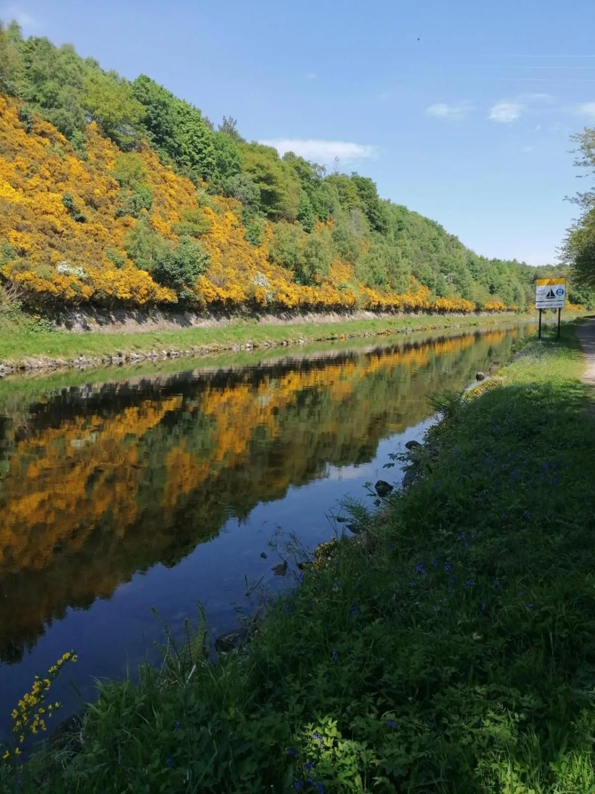 The Coo's Guest House